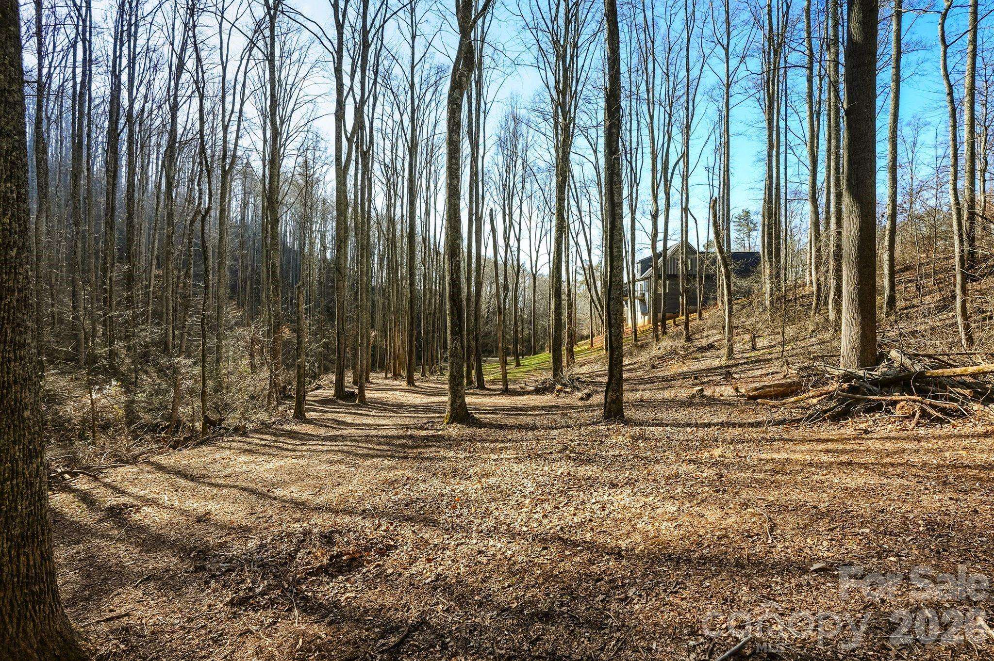67 Bamboo TRL #18, Candler, NC 28715