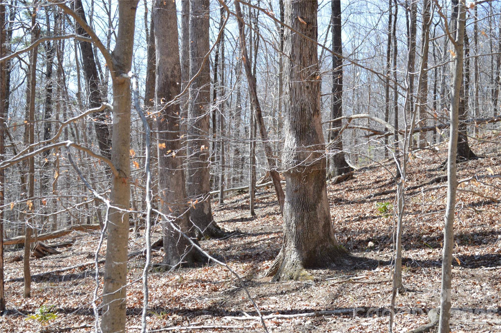 00 Shadow Creek LN, Columbus, NC 28722