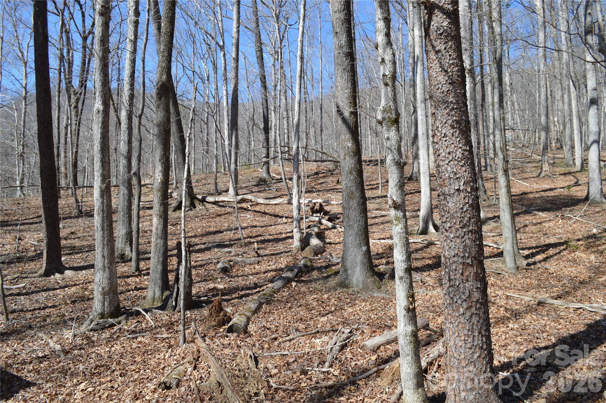 00 Shadow Creek LN, Columbus, NC 28722