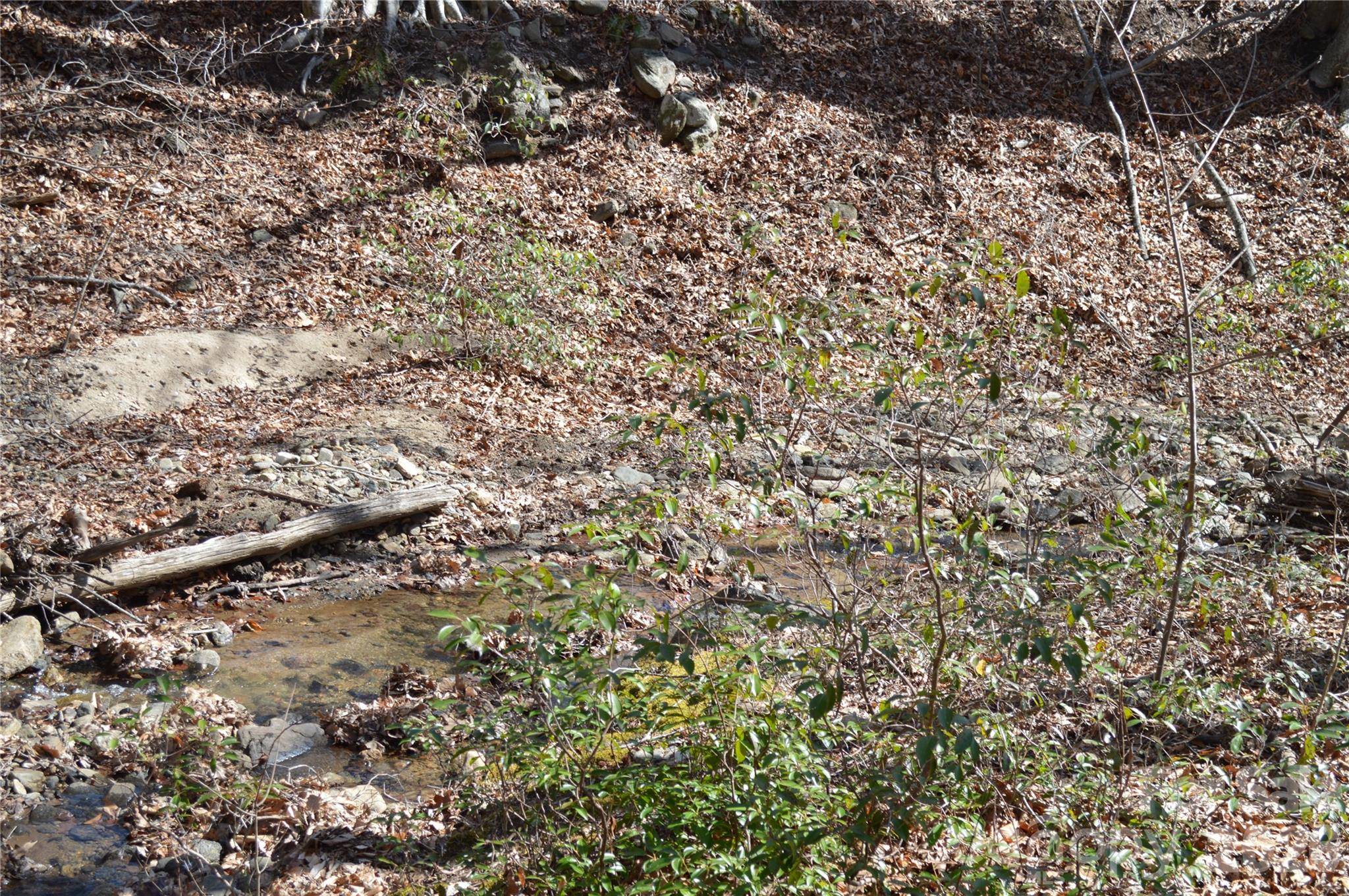 00 Shadow Creek LN, Columbus, NC 28722