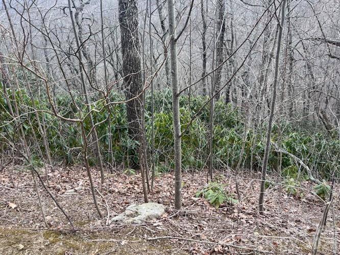 11 Majestic Overlook WAY #36, Candler, NC 28715