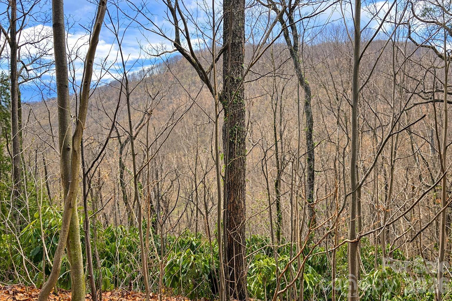 11 Majestic Overlook WAY #36, Candler, NC 28715
