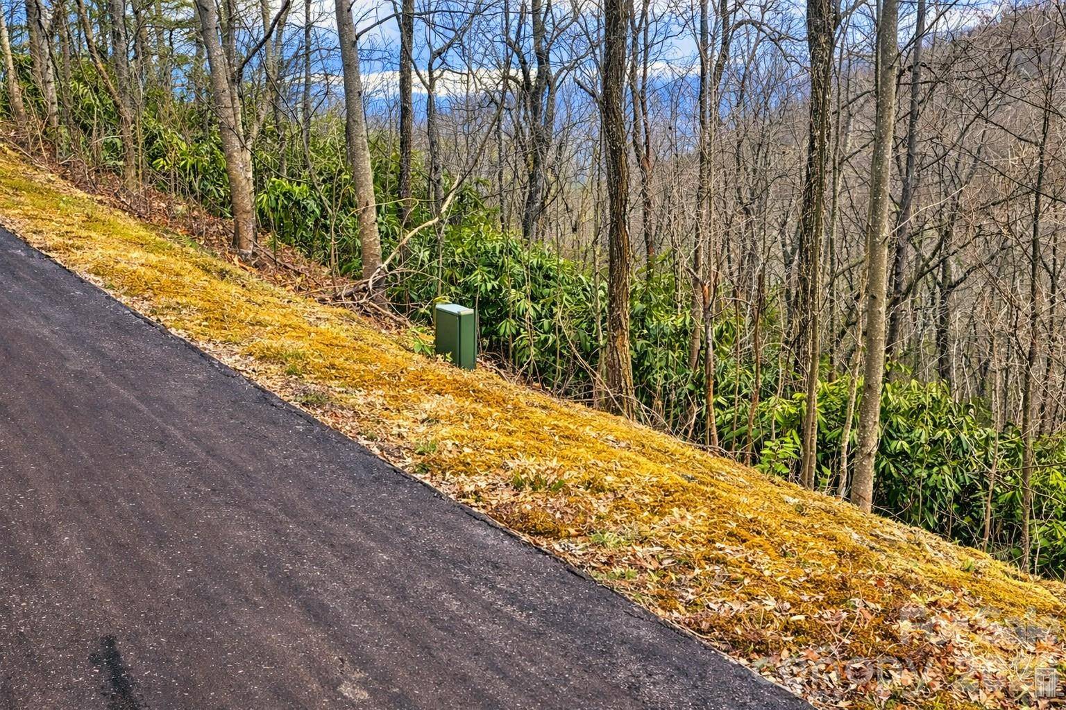11 Majestic Overlook WAY #36, Candler, NC 28715