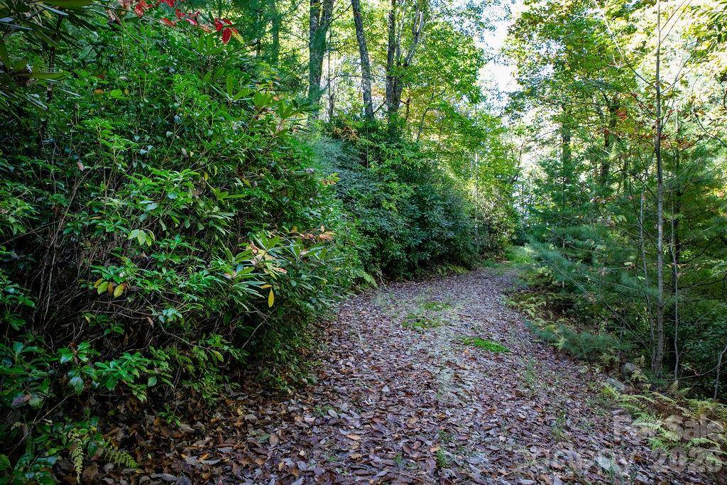 TBD Rock Face RD #L299, Brevard, NC 28712