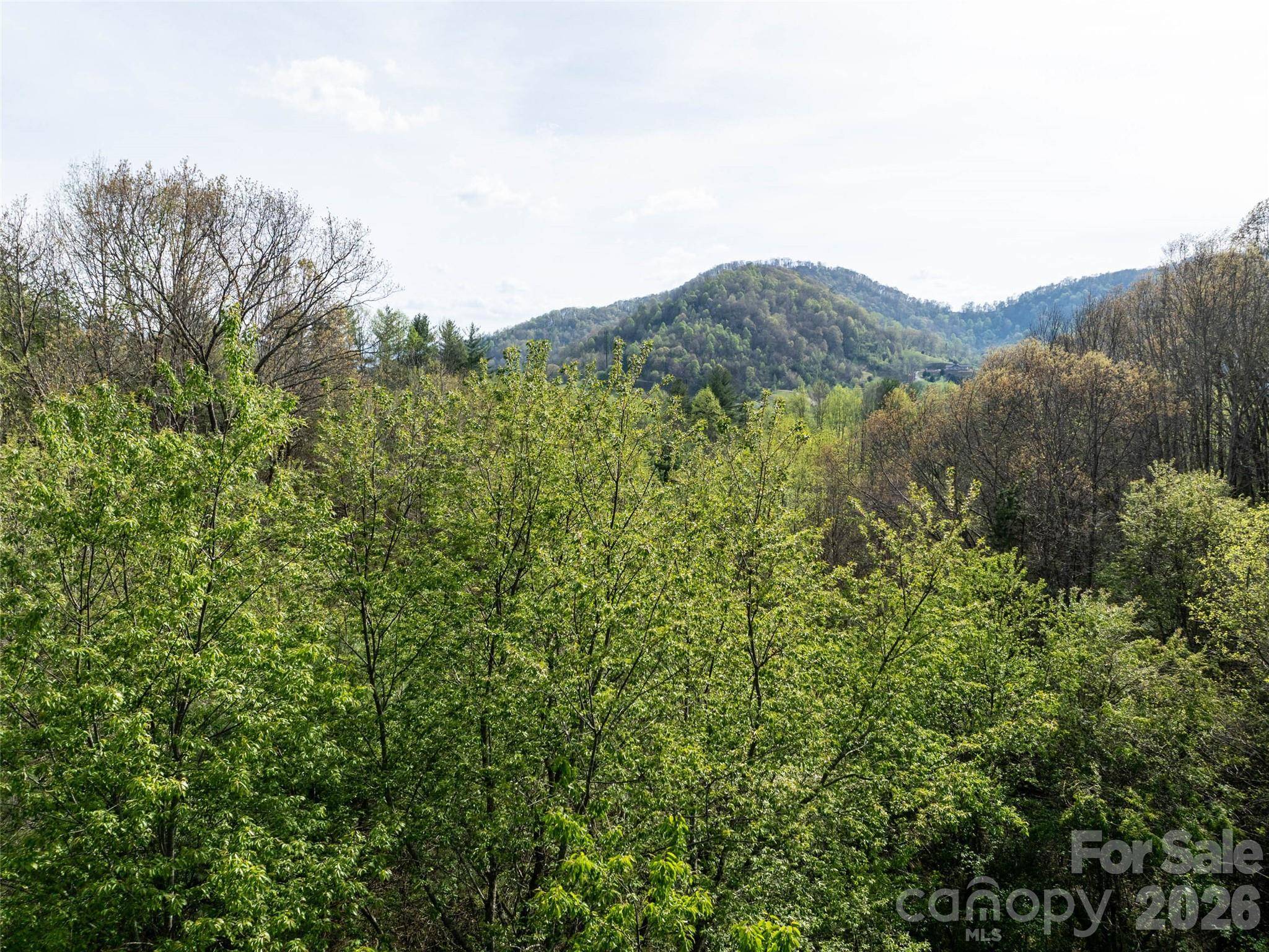 0 Sunnybrook TRL #40, Clyde, NC 28721