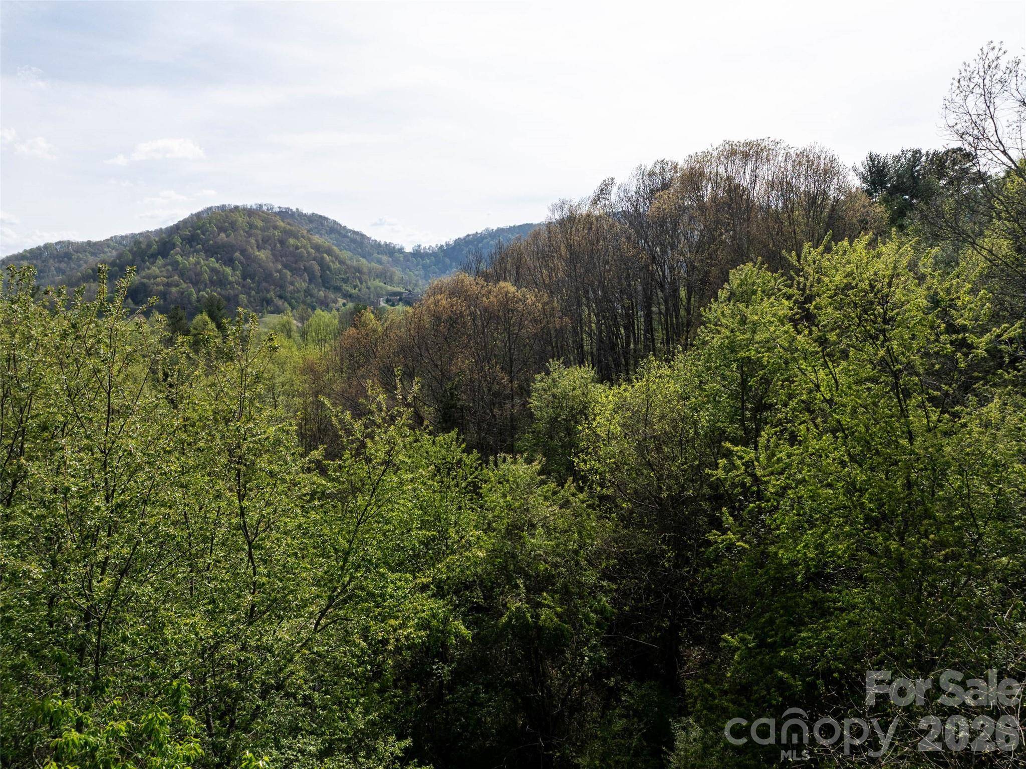 0 Sunnybrook TRL #40, Clyde, NC 28721