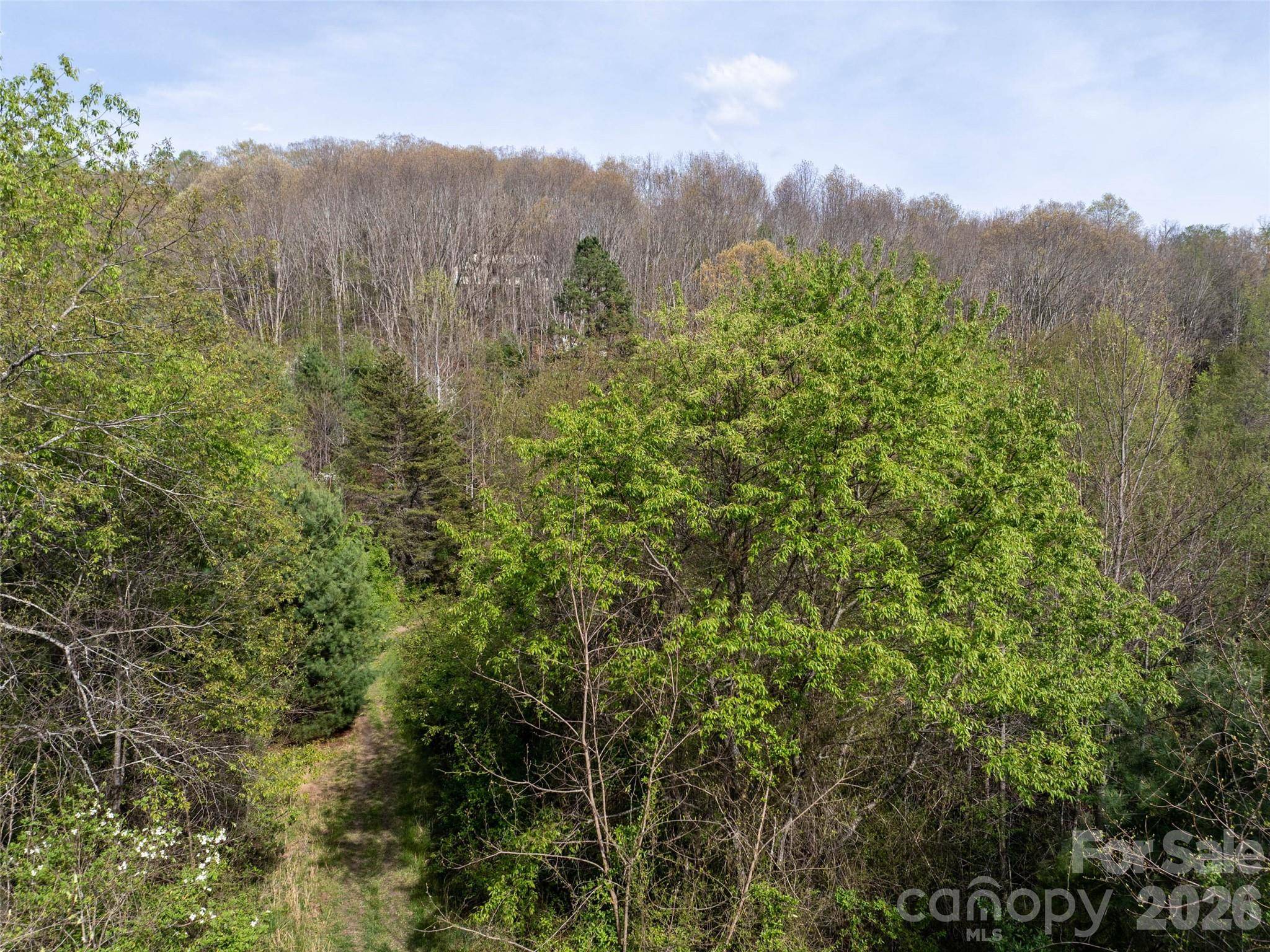 0 Sunnybrook TRL #40, Clyde, NC 28721