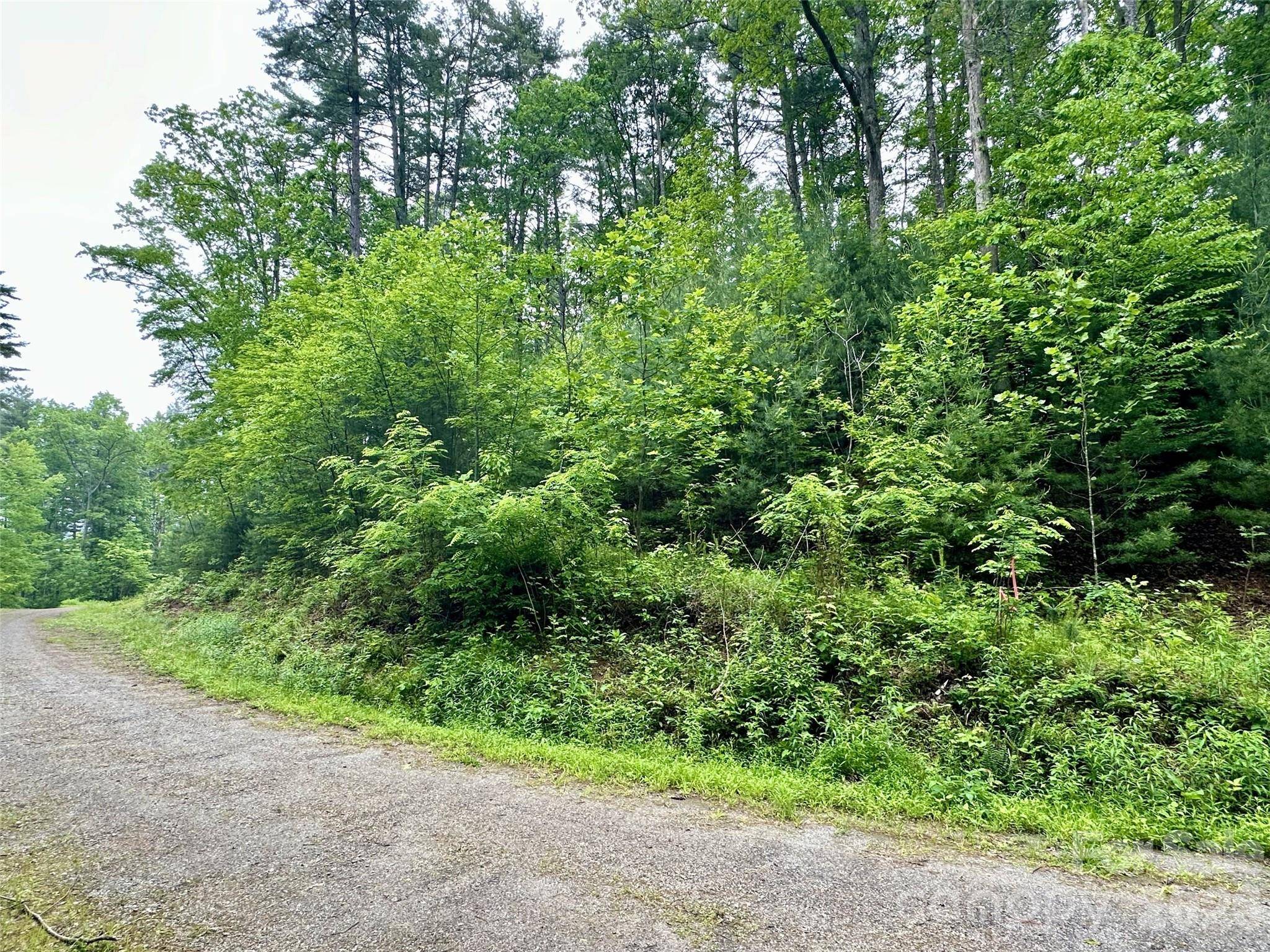 11 Wildlife DR #11, Clyde, NC 28721