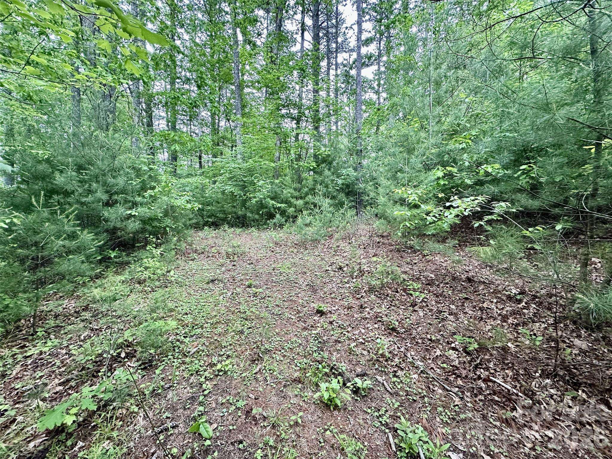 11 Wildlife DR #11, Clyde, NC 28721