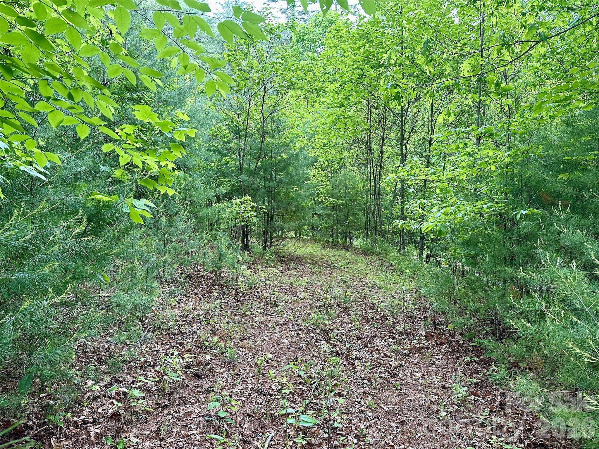 11 Wildlife DR #11, Clyde, NC 28721