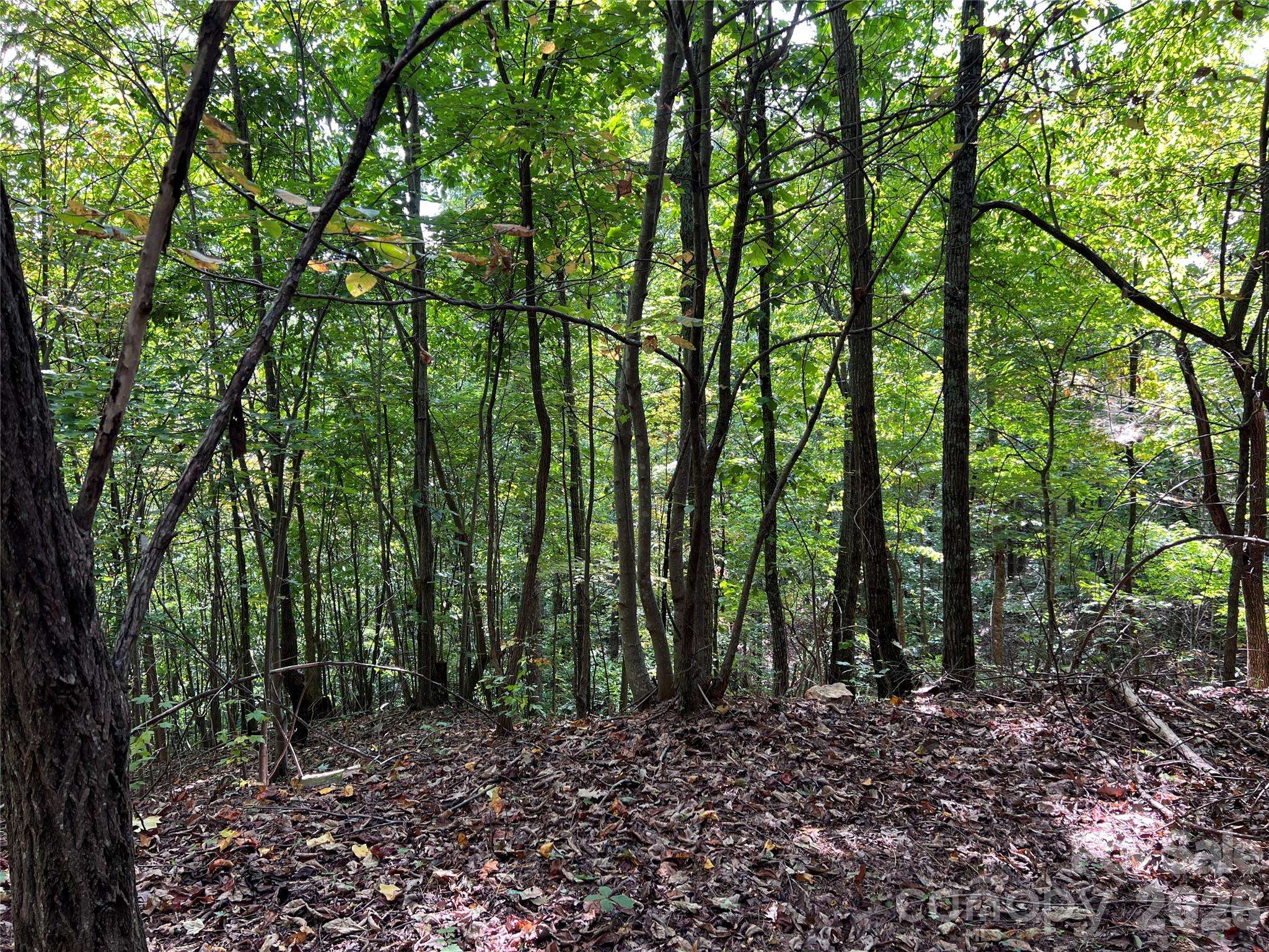 0 Old Forge DR #94, Bostic, NC 28018