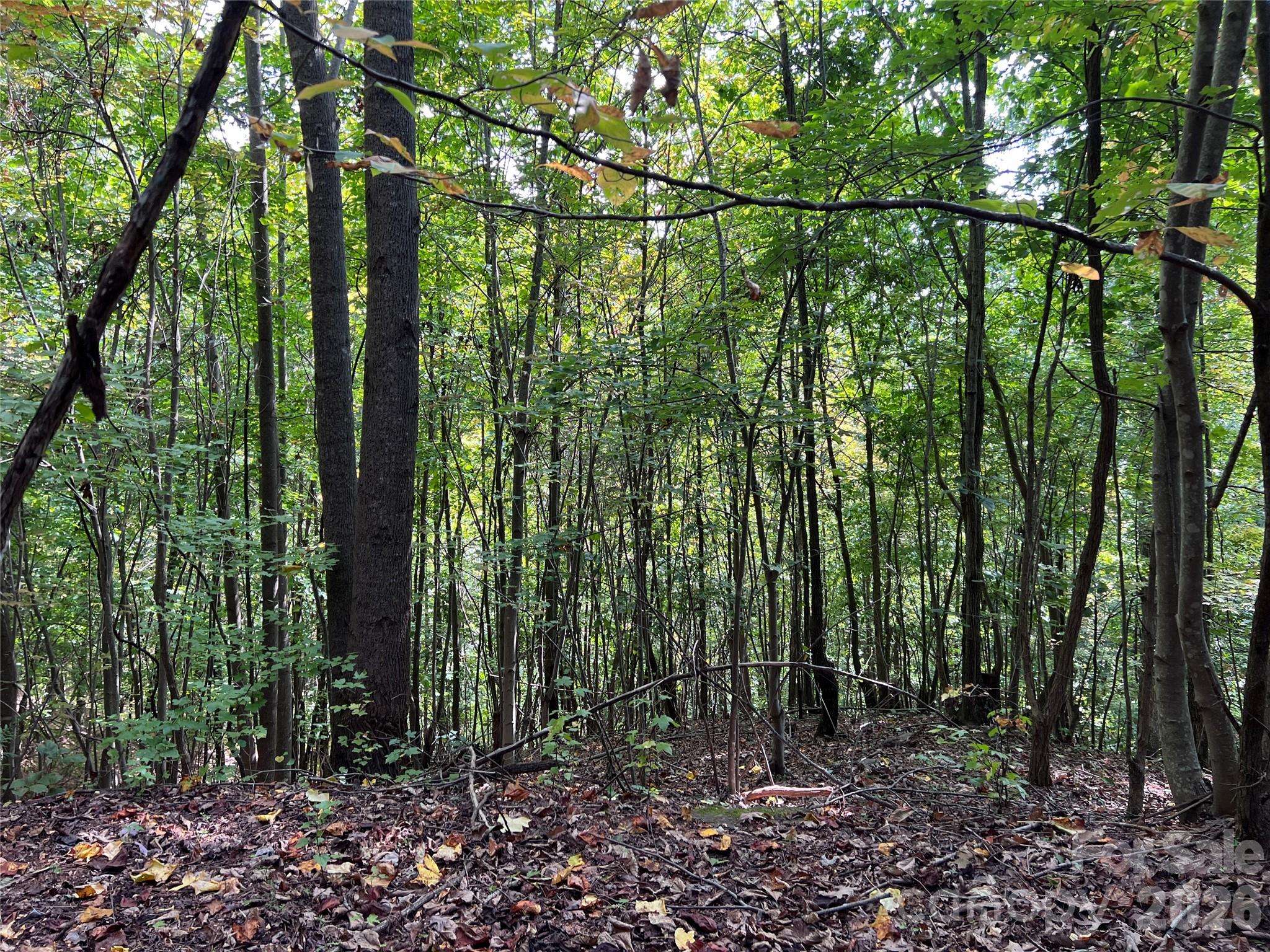 0 Old Forge DR #94, Bostic, NC 28018