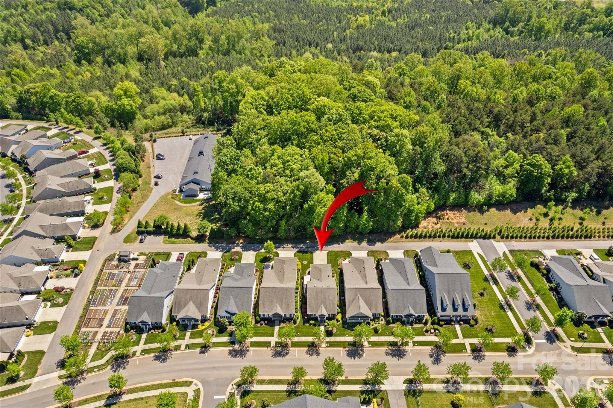 11516 Dublin Crescent RD, Cornelius, NC 28031