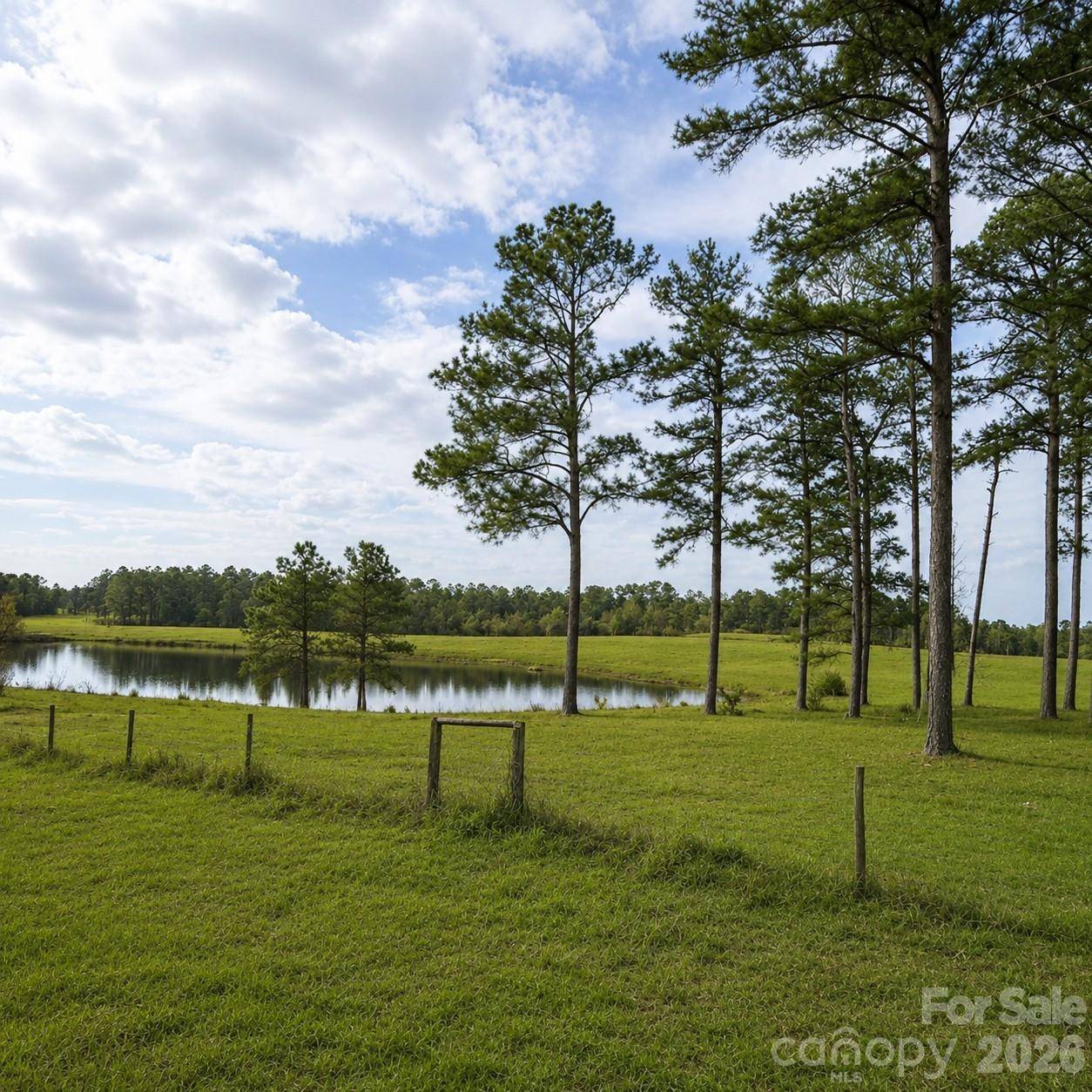 678 Old Stage RD, Edgefield, SC 29824