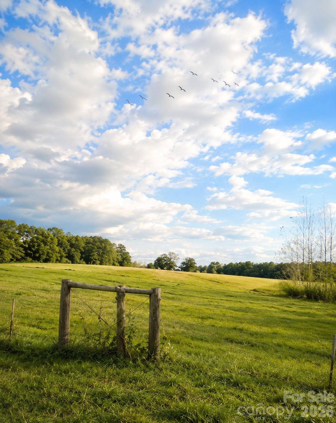 678 Old Stage RD, Edgefield, SC 29824