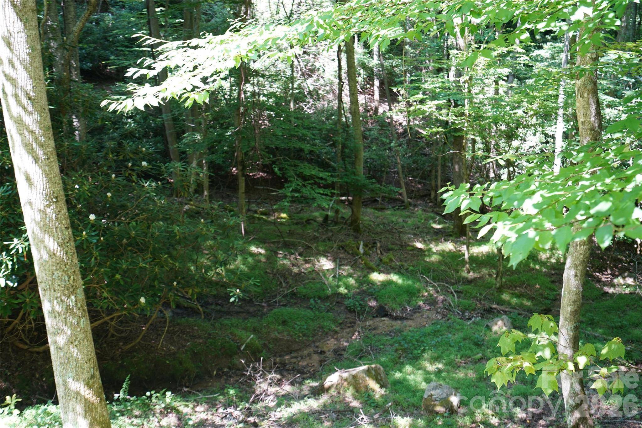 109 Laurel LN, Beech Mountain, NC 28604