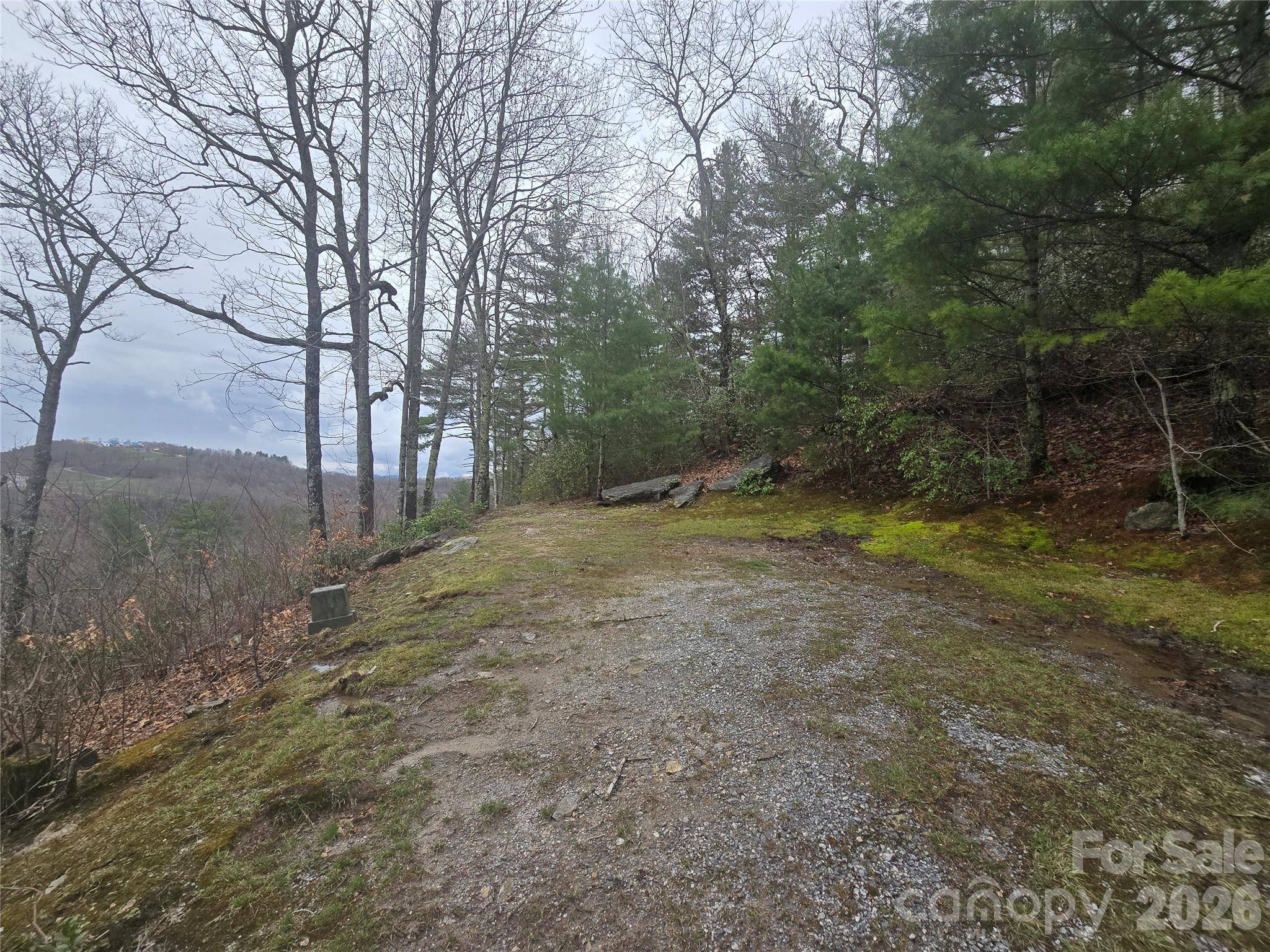 Lot 15 Shirley Pressley RD, Glenville, NC 28736