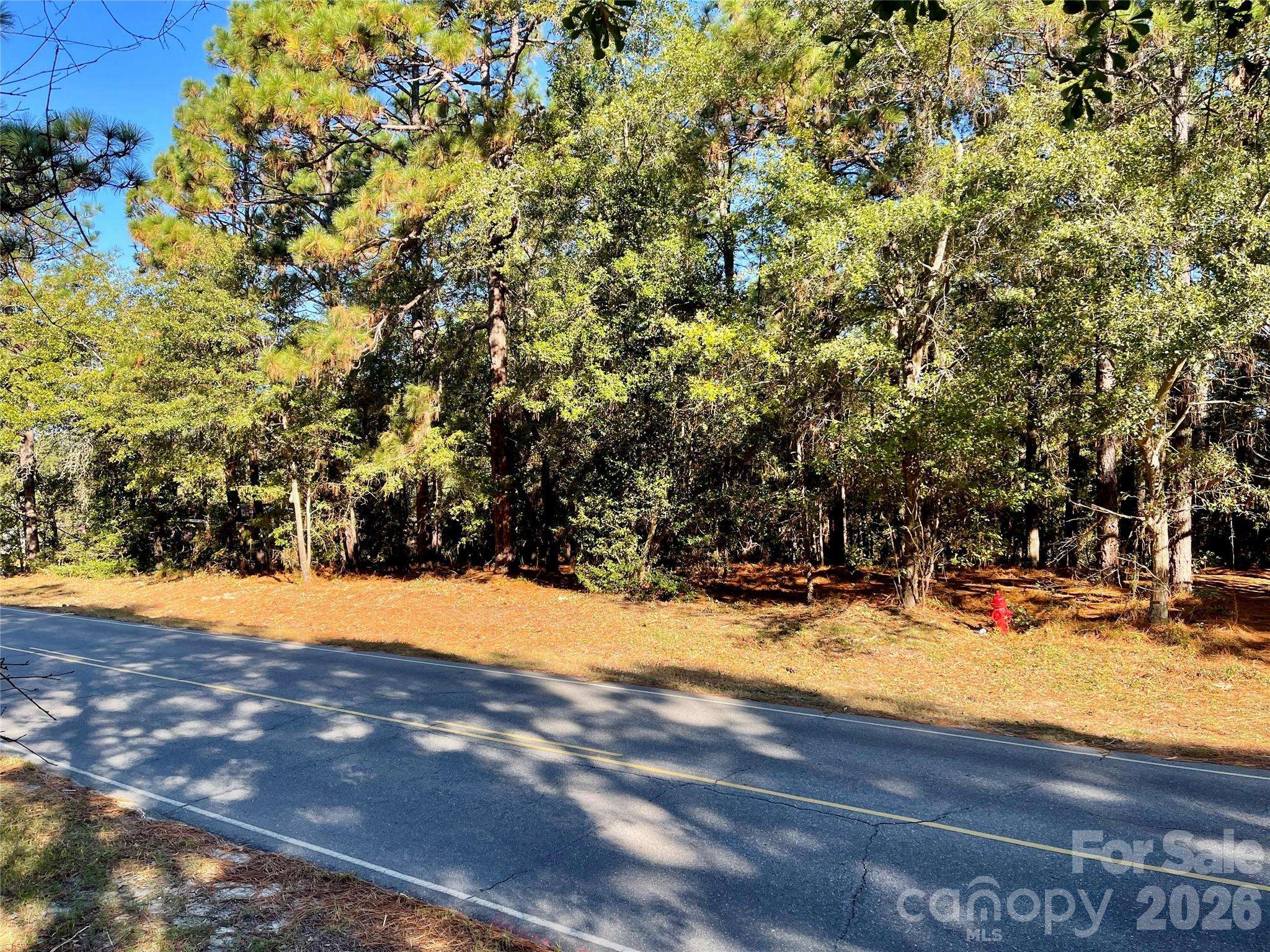 0 Hylan AVE, Hamlet, NC 28345