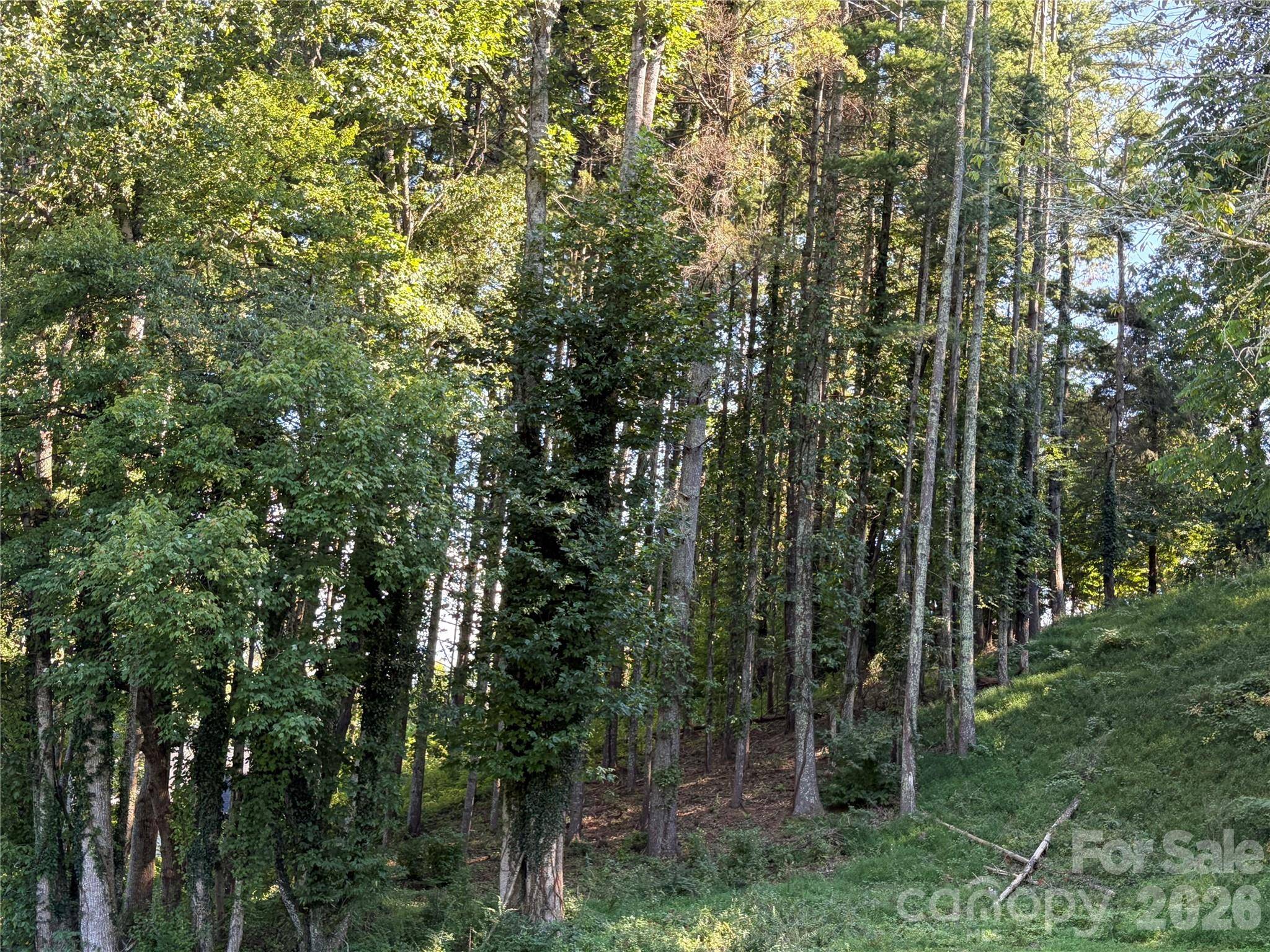 51 Barebridge Fields RD #51, Burnsville, NC 2874