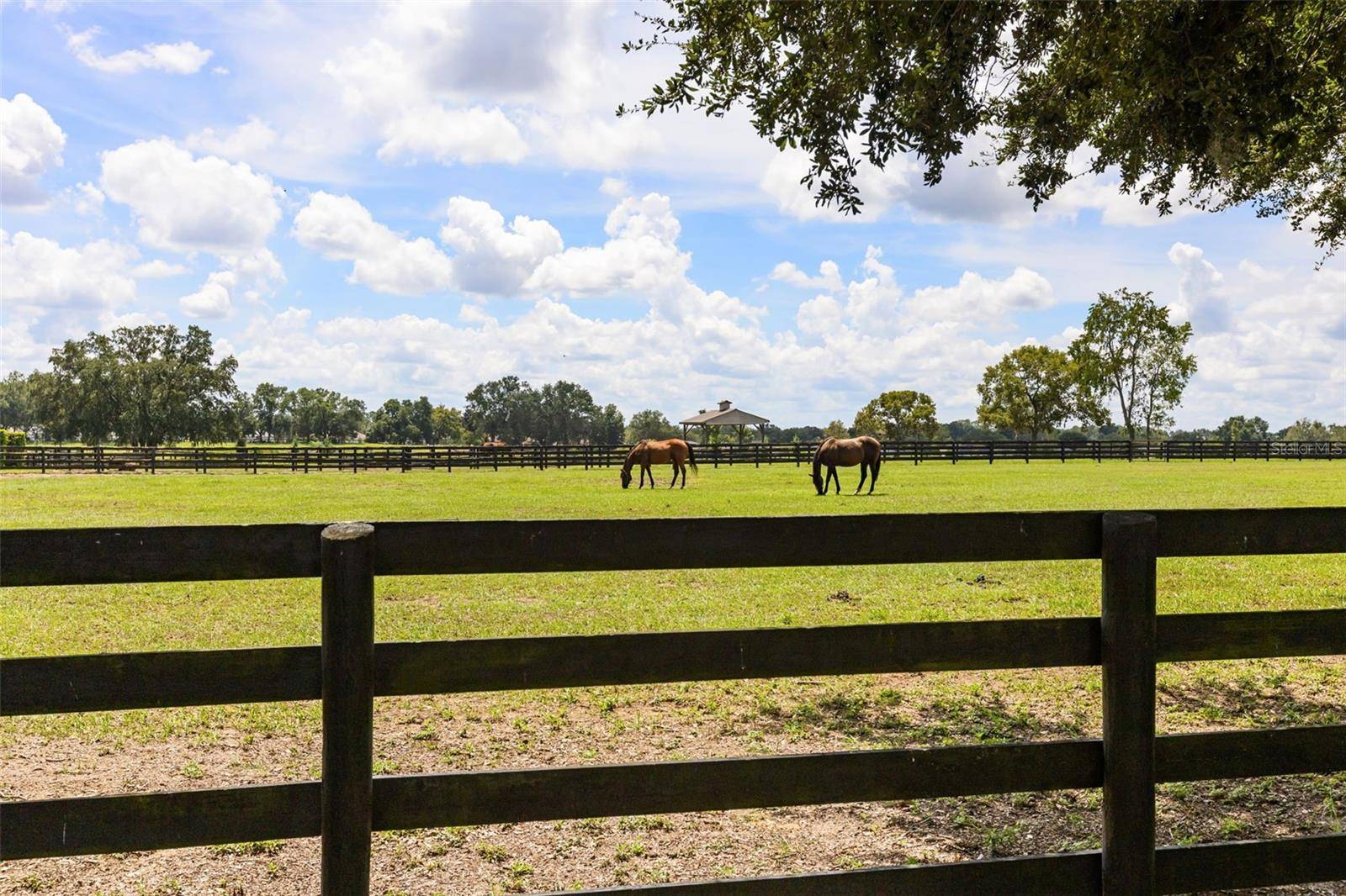 4720 NW 35TH LANE RD, Ocala, FL 34482
