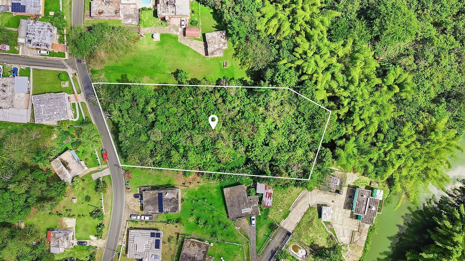 4 BARRIO RINCON, Cidra, PR 00739