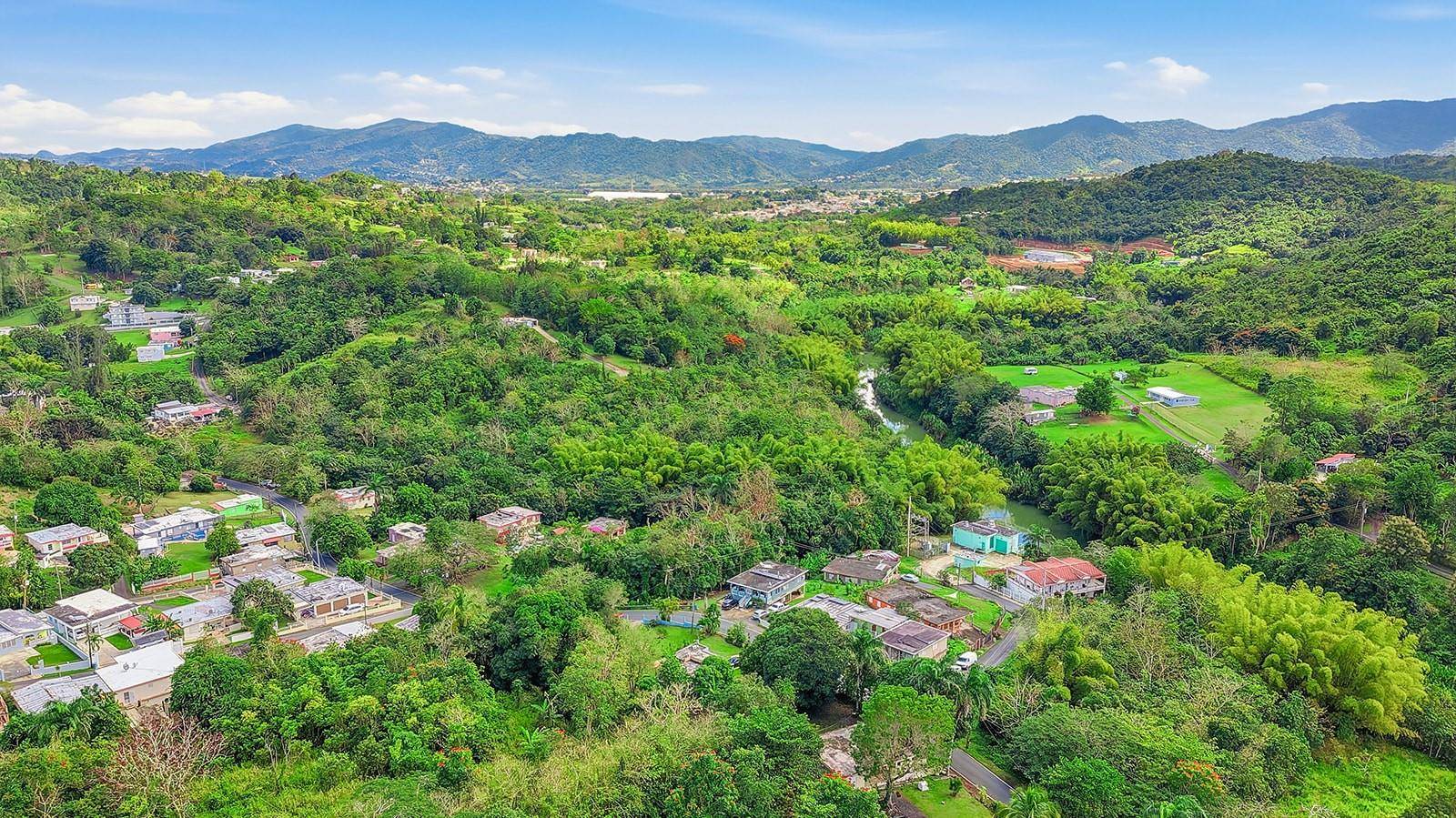 4 BARRIO RINCON, Cidra, PR 00739