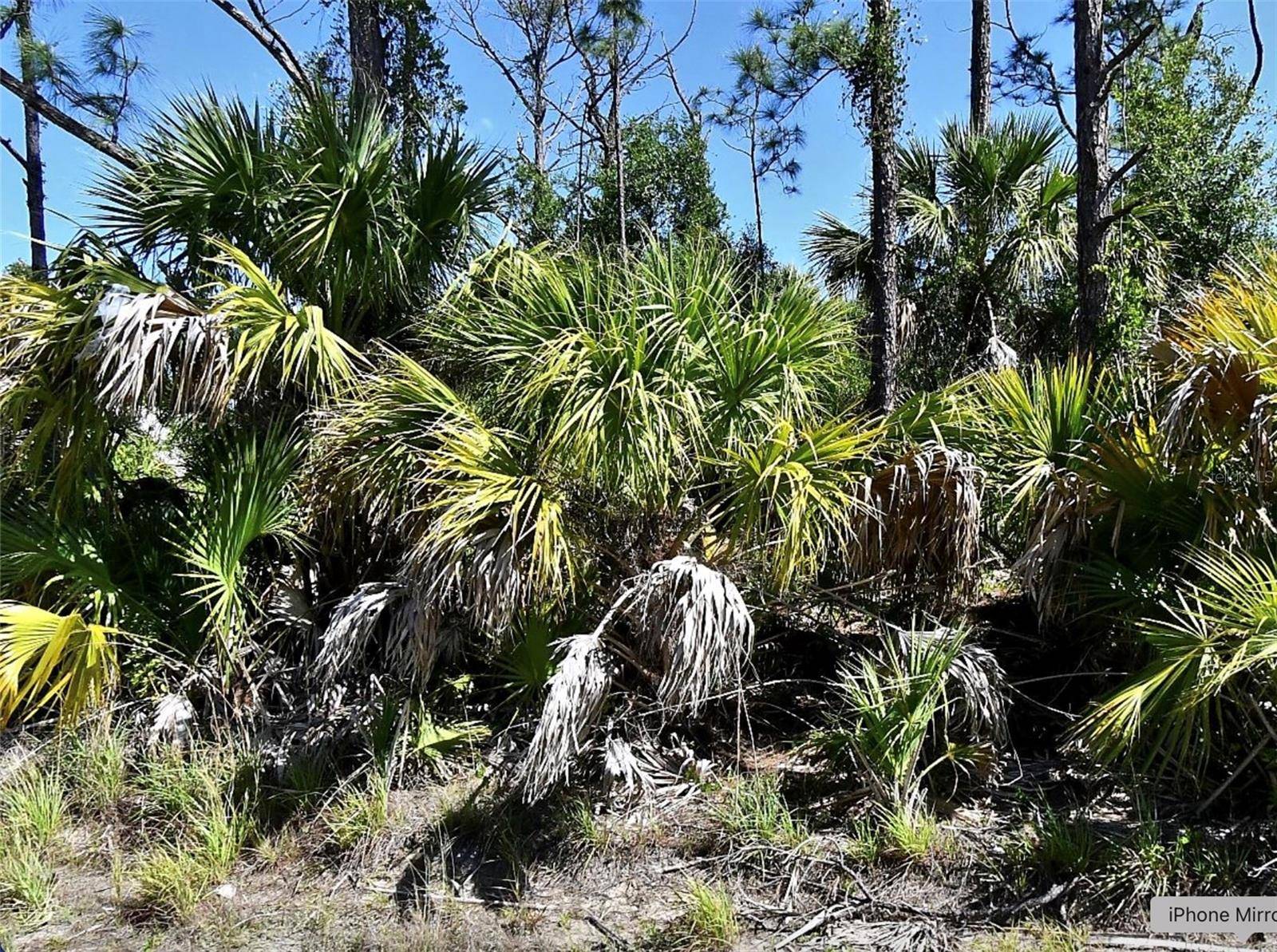GUTTENBURG RD, North Port, FL 34288
