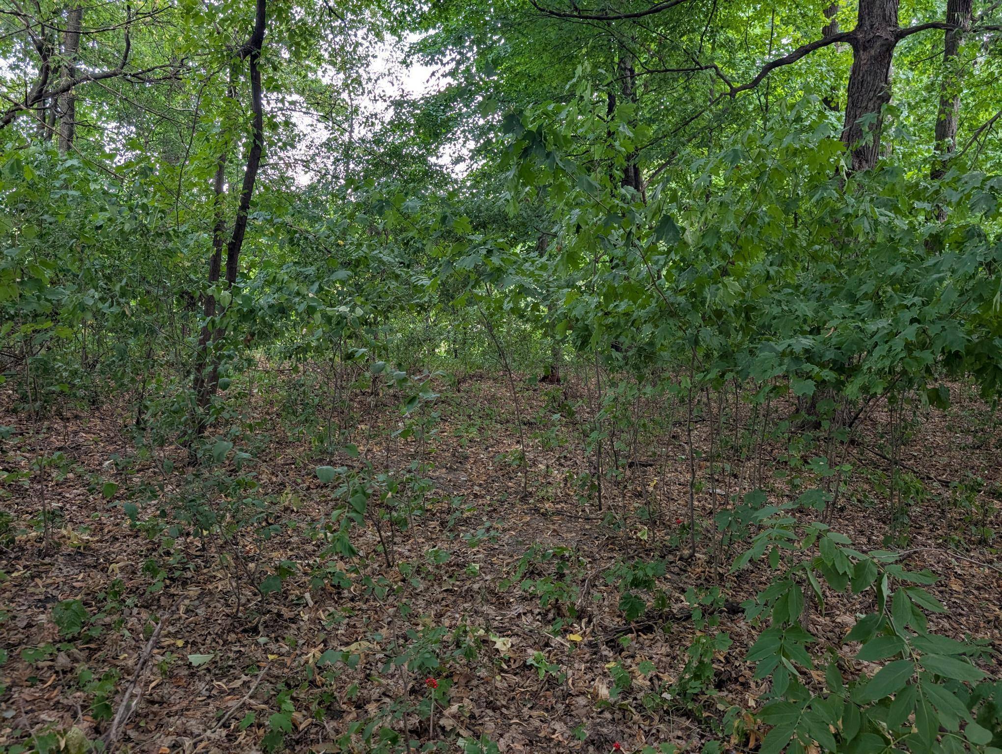 xxx E Birch AVE, Barron, WI 54812