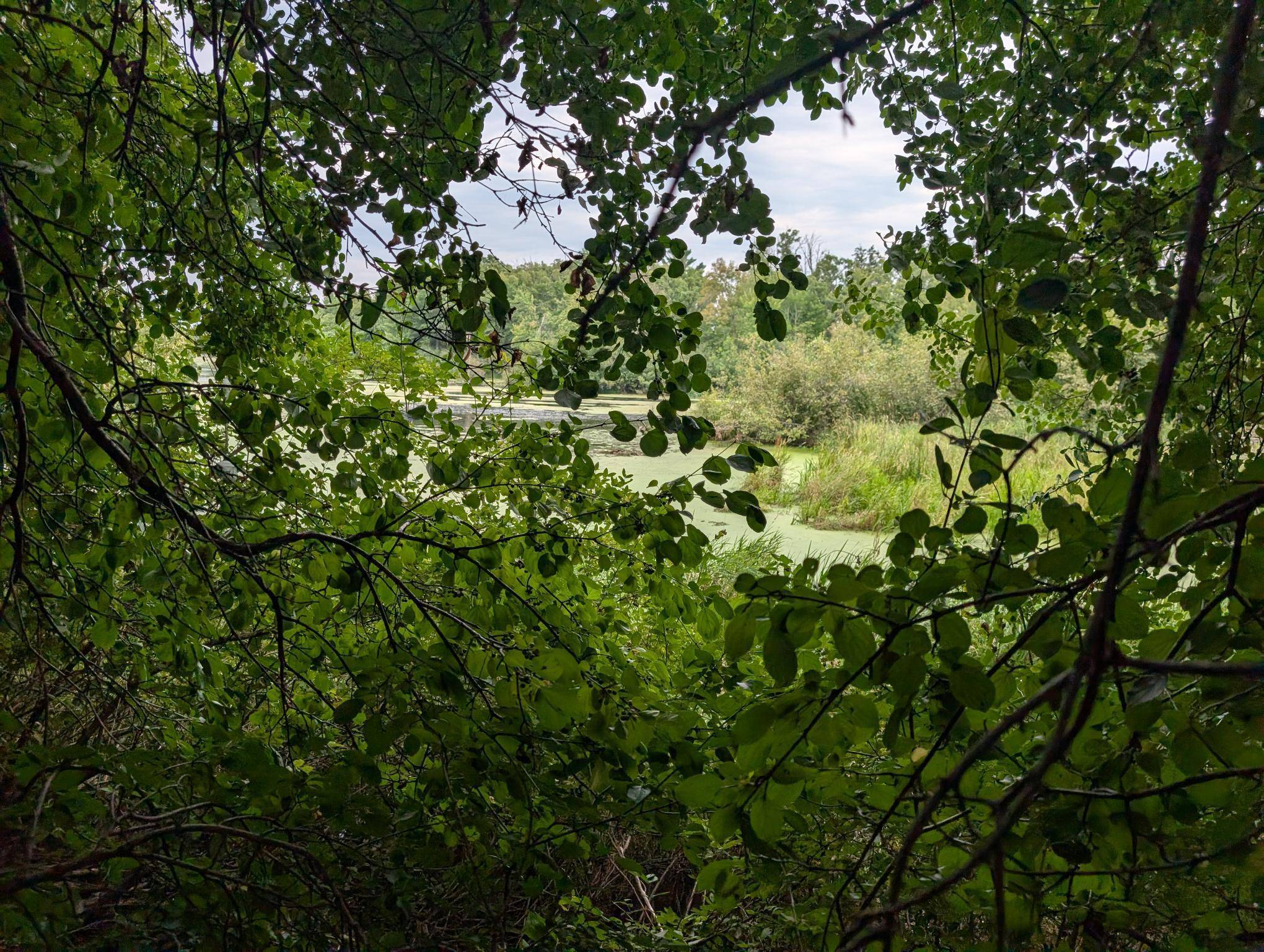 xxx E Birch AVE, Barron, WI 54812