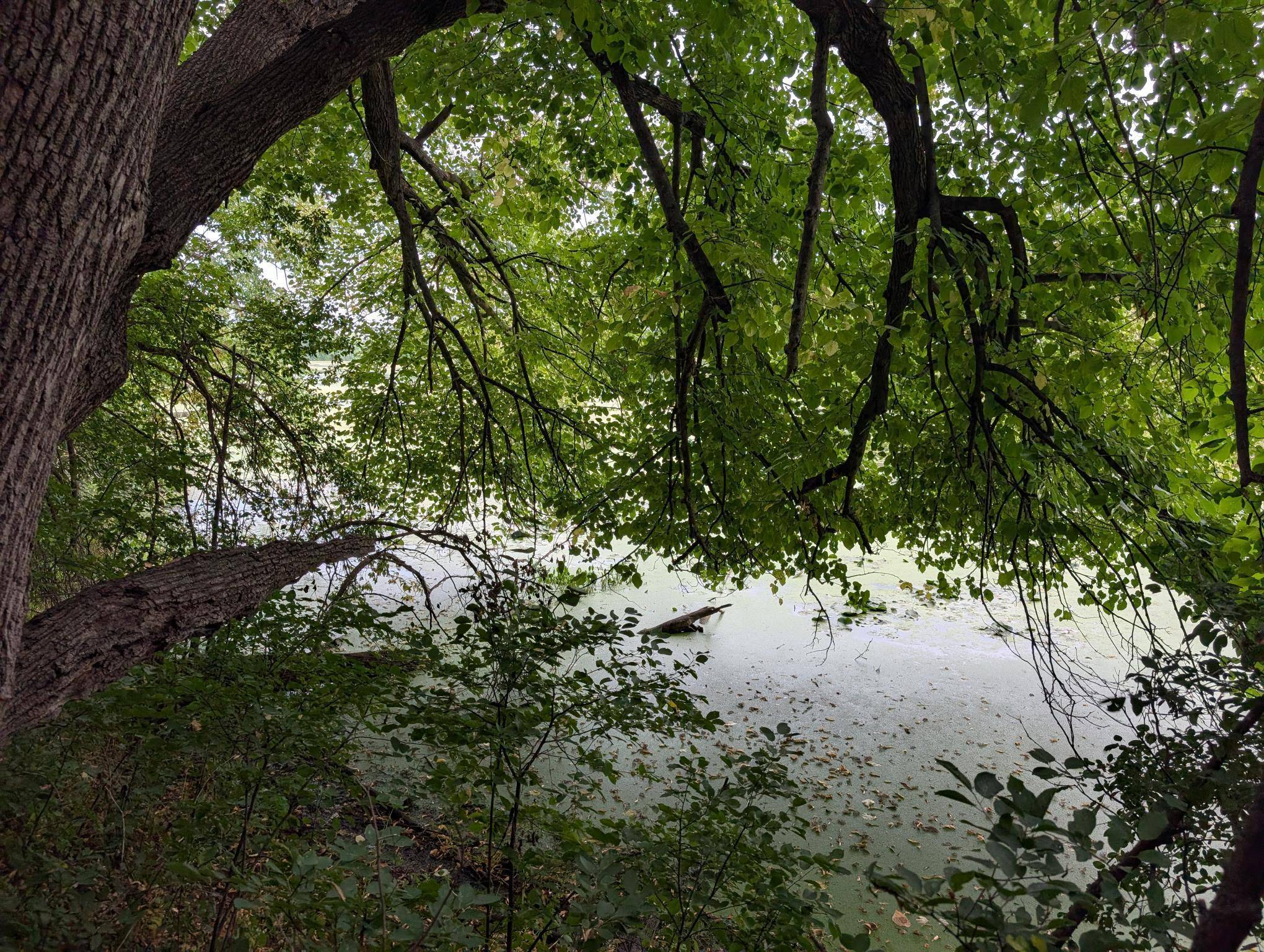 xxx E Birch AVE, Barron, WI 54812