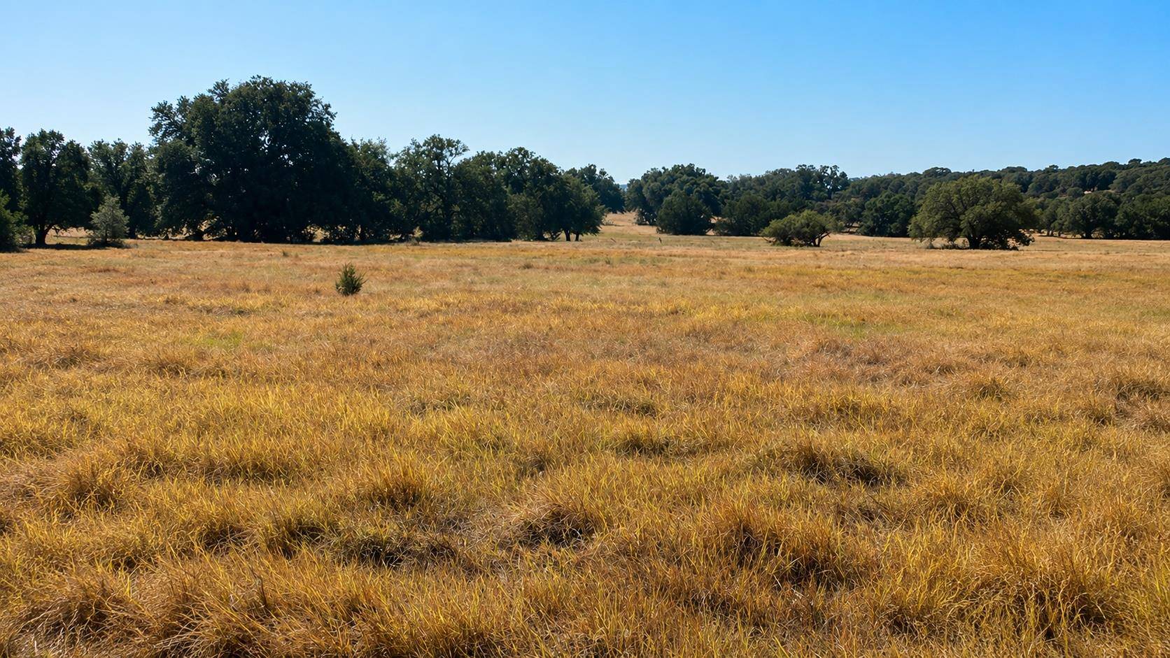 0 County Road 2659, Lometa, TX 76853