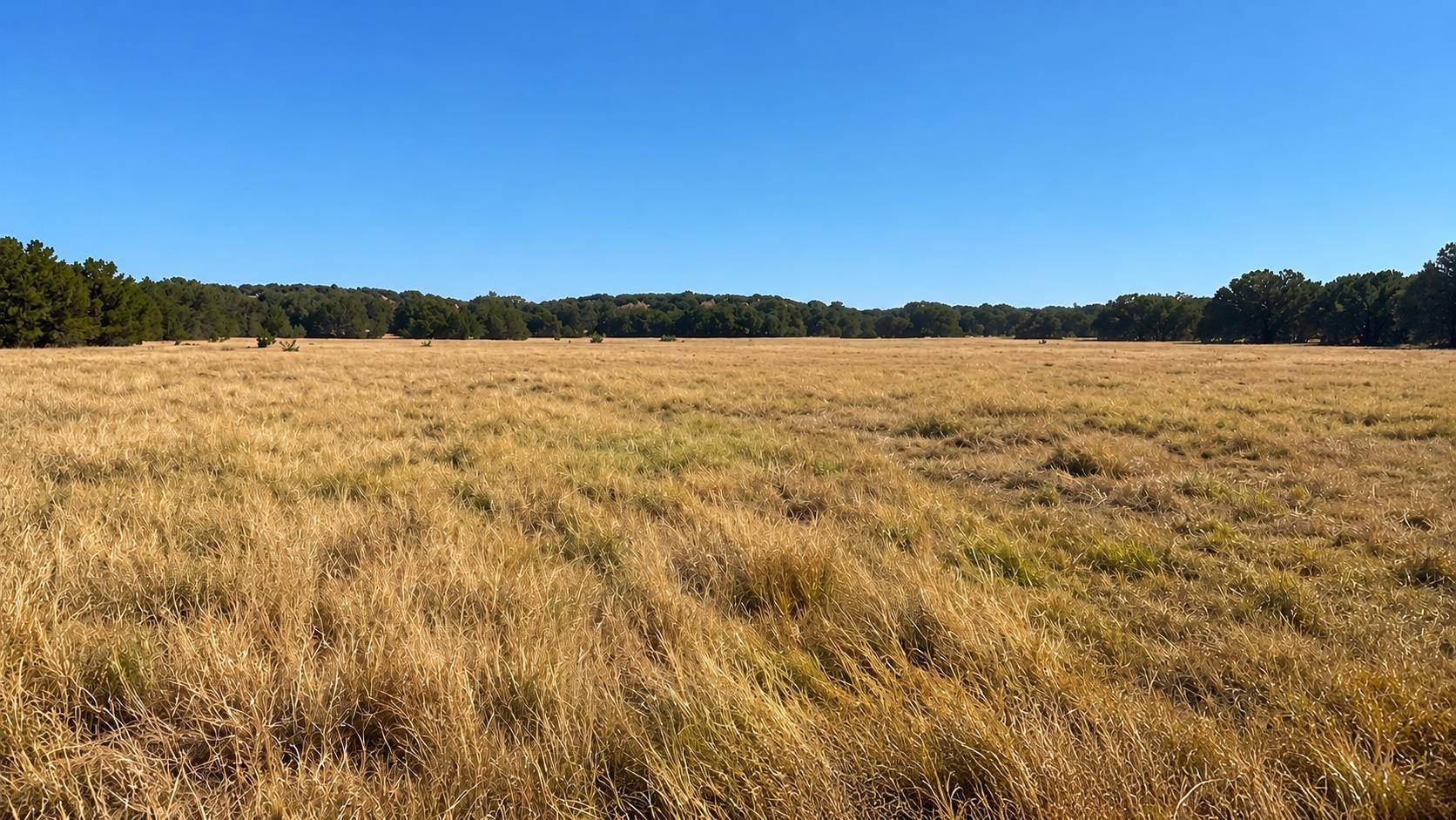 0 County Road 2659, Lometa, TX 76853