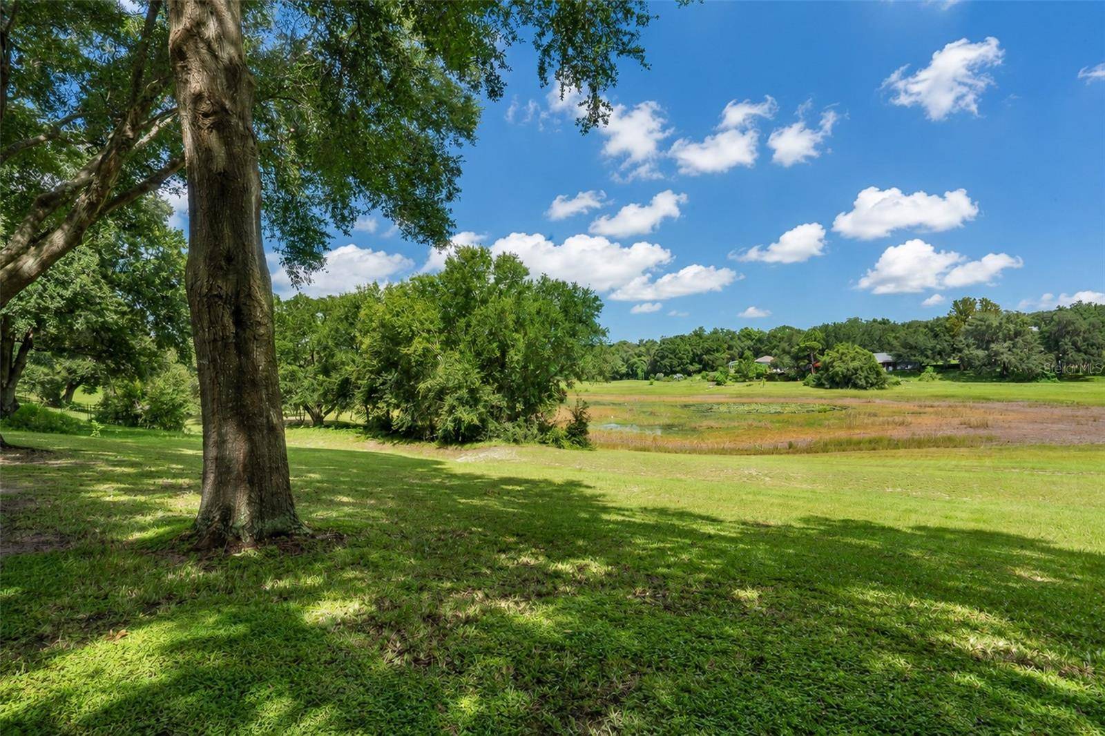 1326 OAK VALLEY BLVD, Minneola, FL 34715
