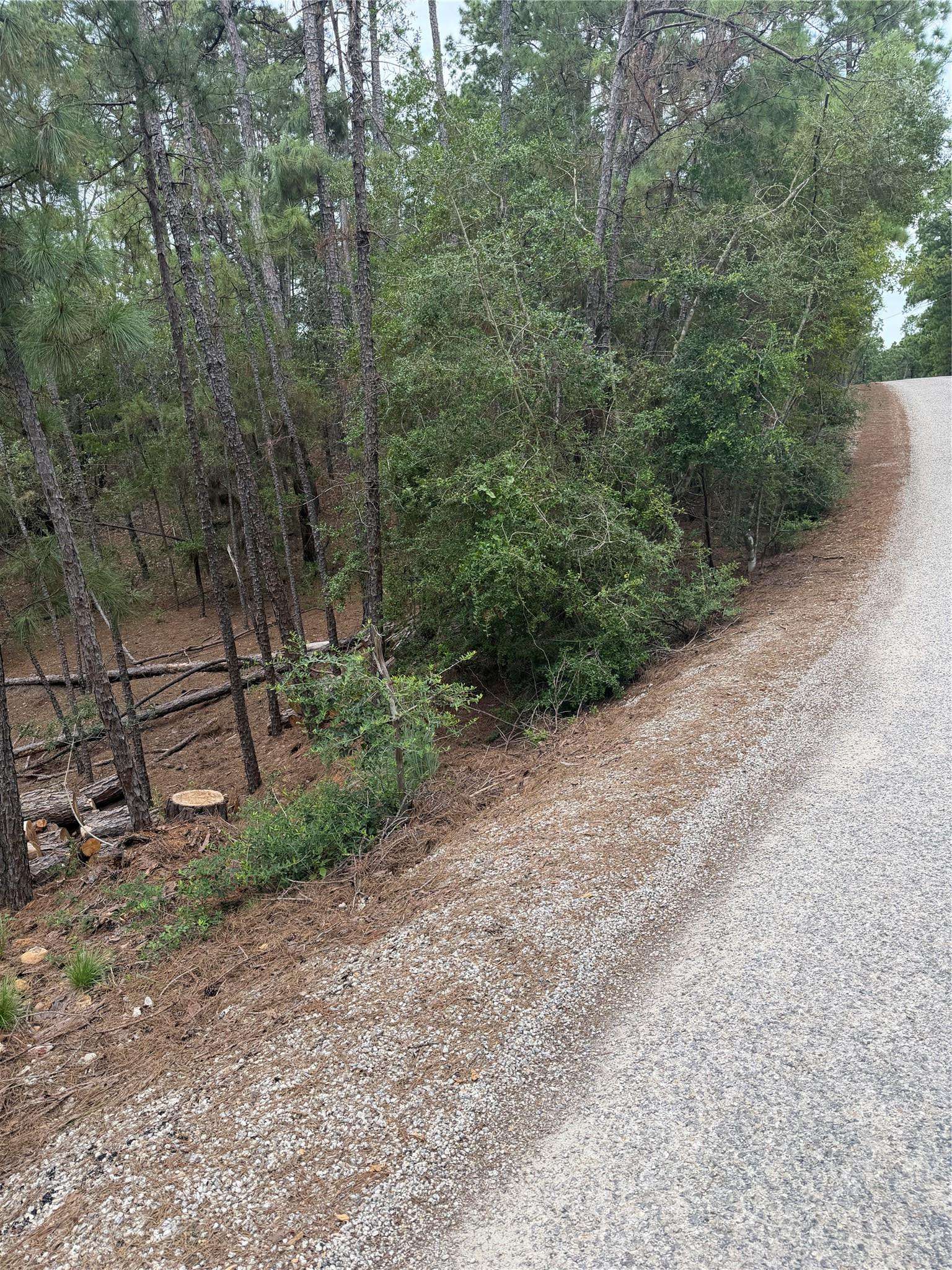 Lots 213 and 214 Hekili DR, Bastrop, TX 78602