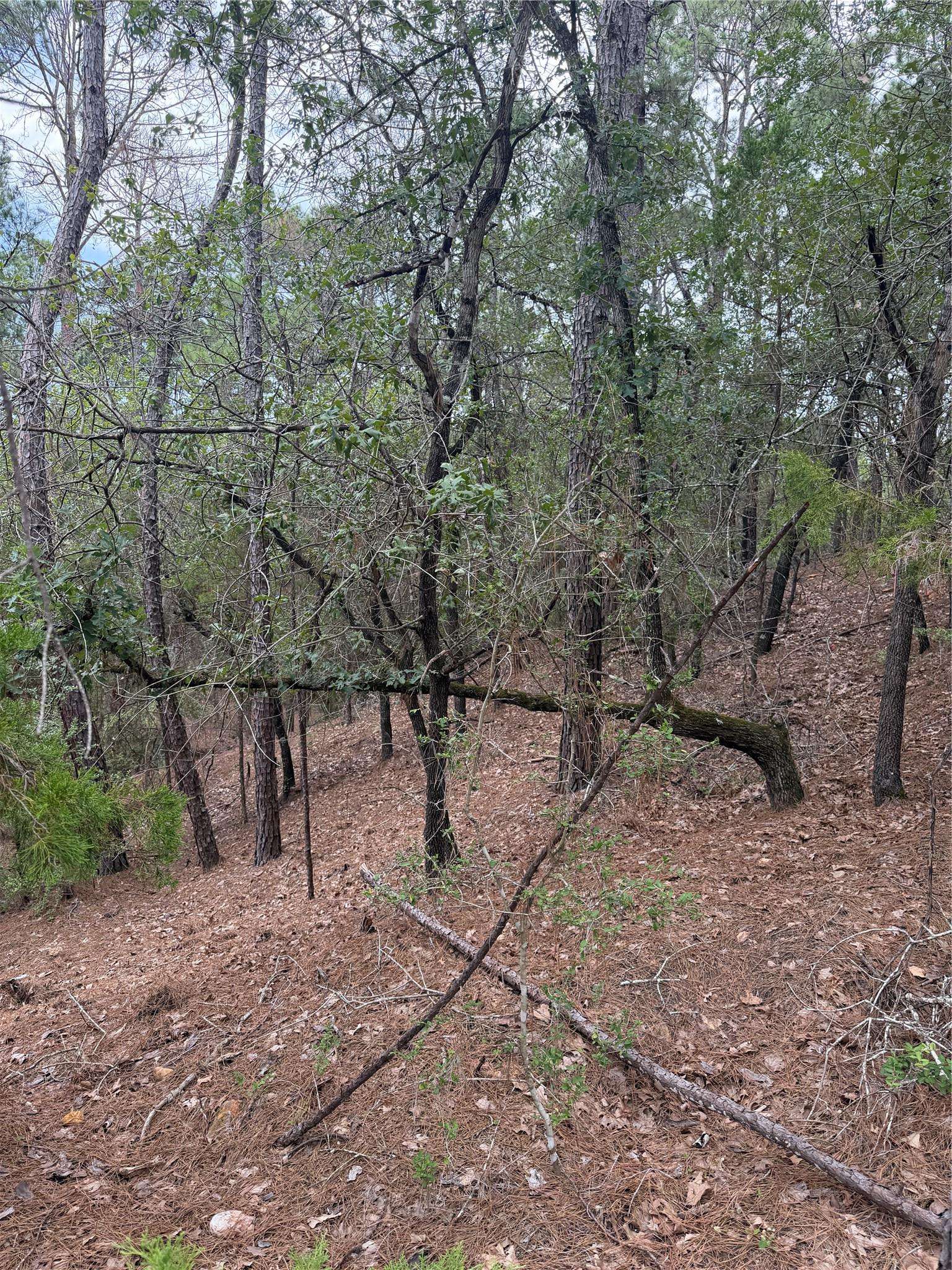 Lots 213 and 214 Hekili DR, Bastrop, TX 78602