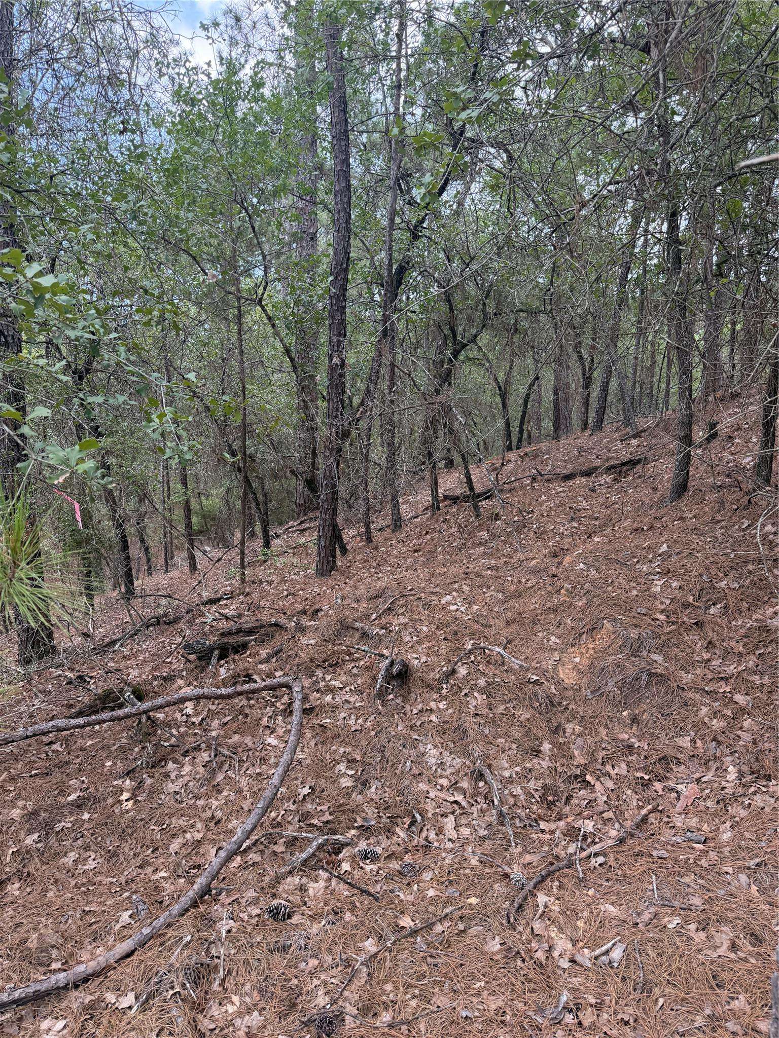 Lots 213 and 214 Hekili DR, Bastrop, TX 78602