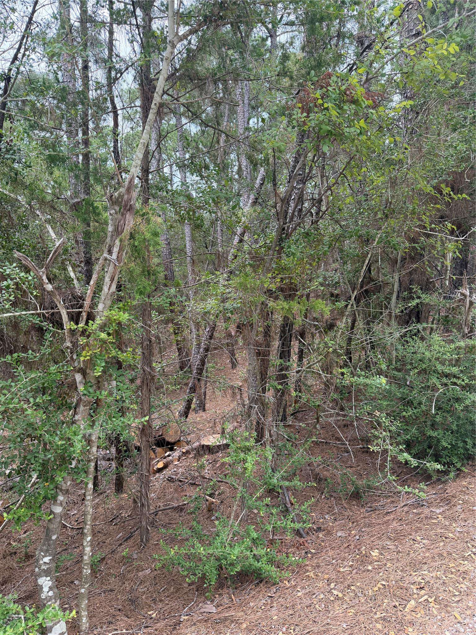 Lots 213 and 214 Hekili DR, Bastrop, TX 78602