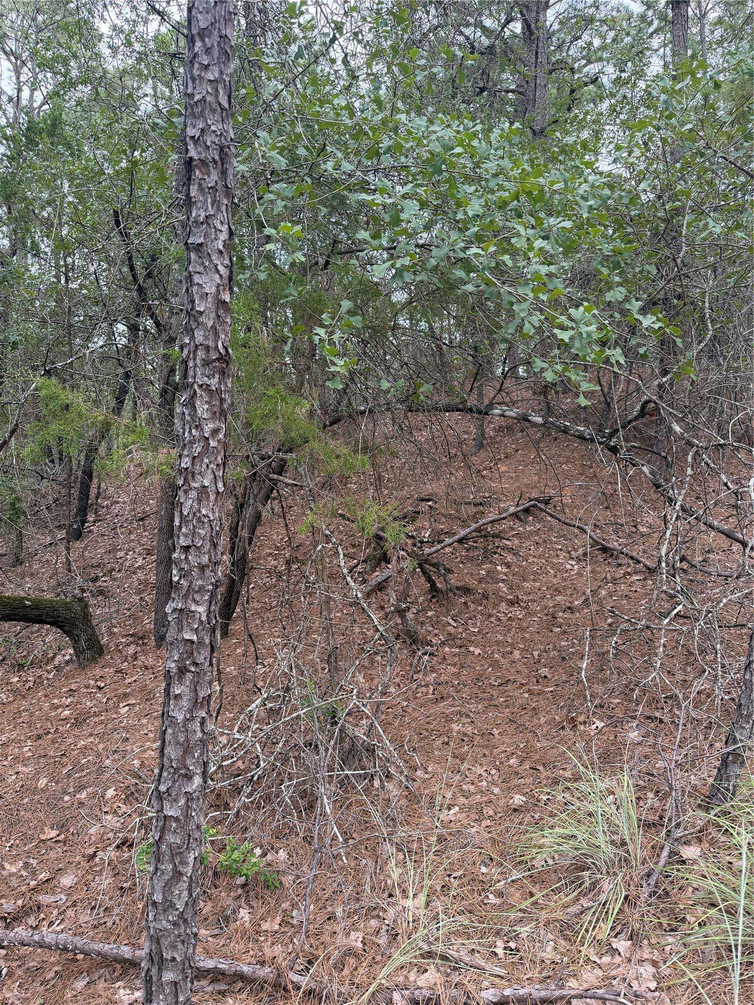 Lots 213 and 214 Hekili DR, Bastrop, TX 78602