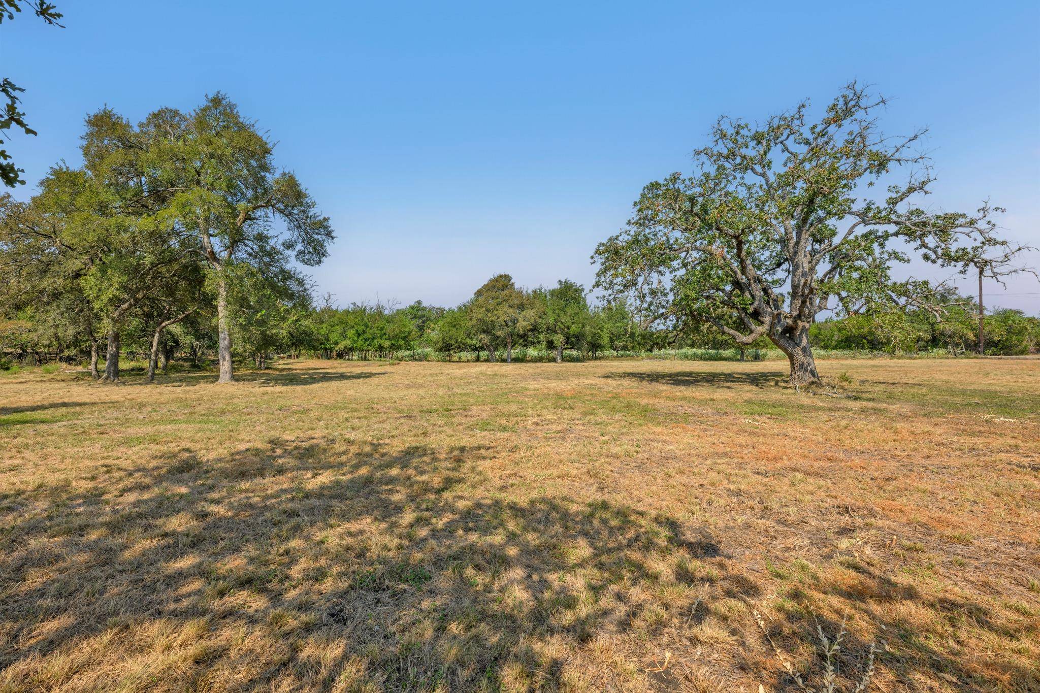 200 Buckskin PASS, Driftwood, TX 78619
