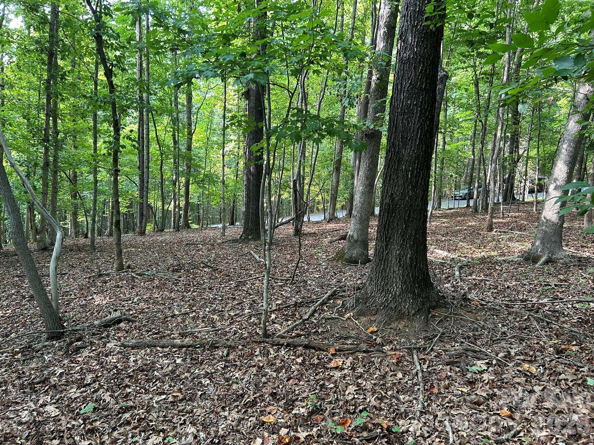 00 Wilderness RDG, Rutherfordton, NC 28139