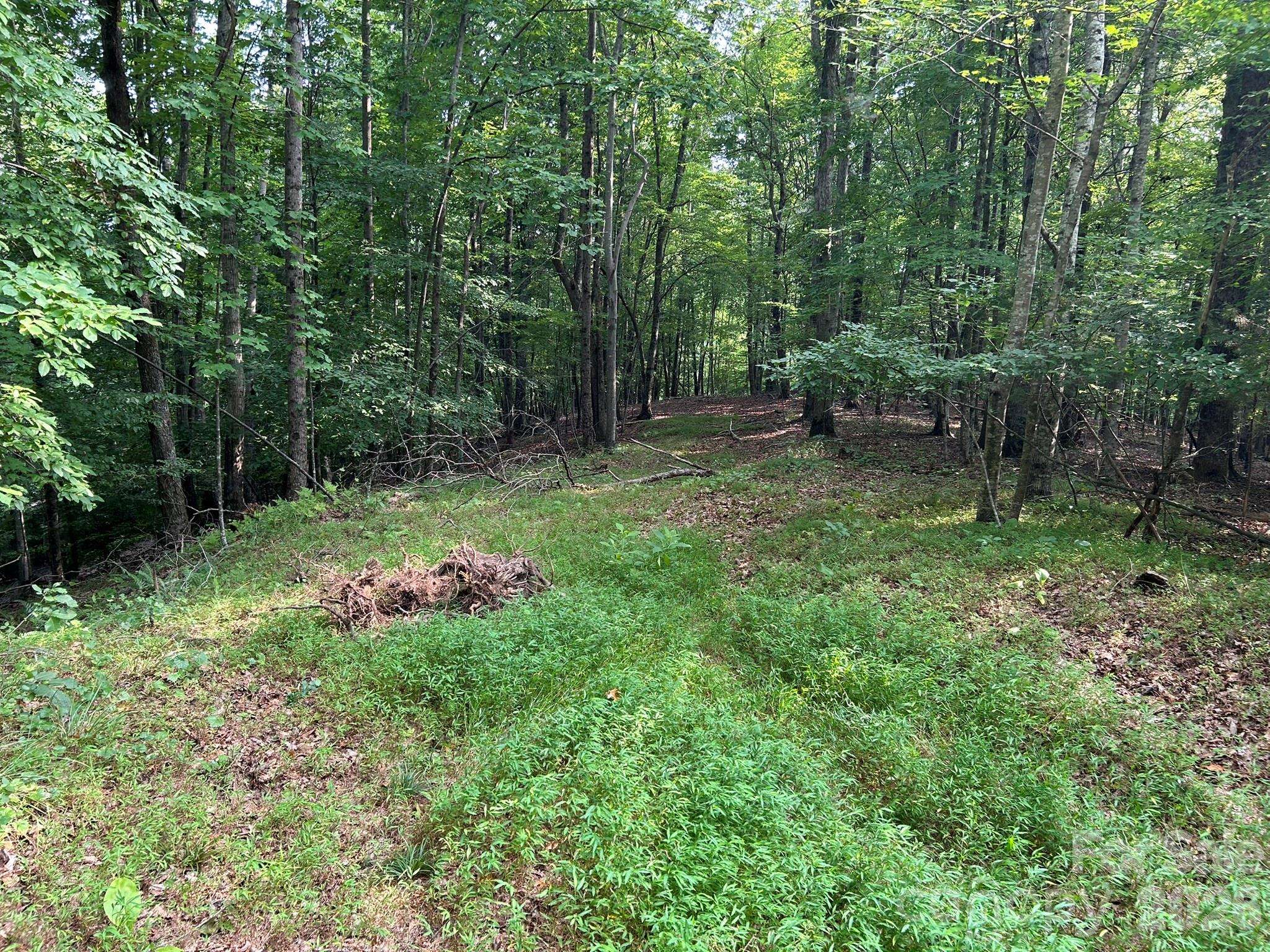 00 Wilderness RDG, Rutherfordton, NC 28139