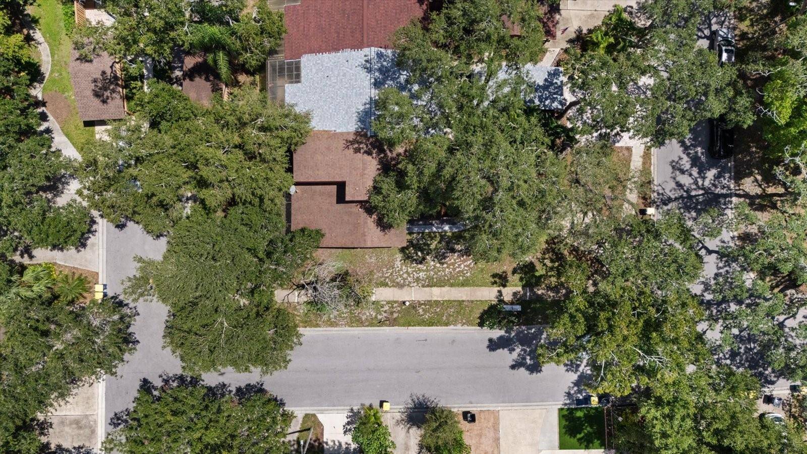 803 FAIRWOOD LN, Clearwater, FL 33759