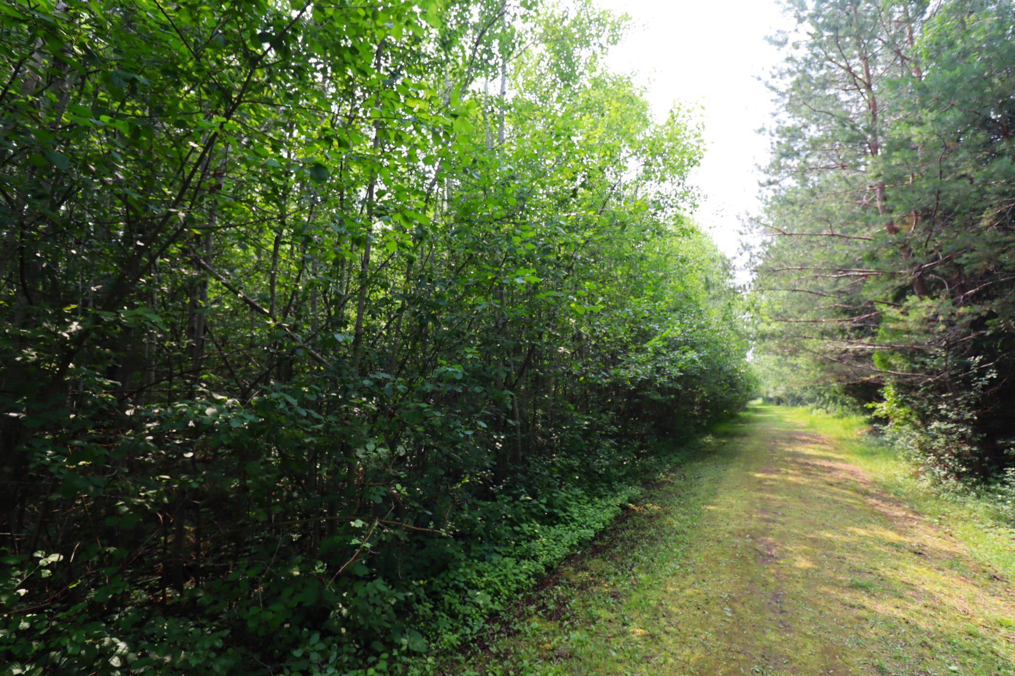 2821 Junction RD, Ashland, WI 54806