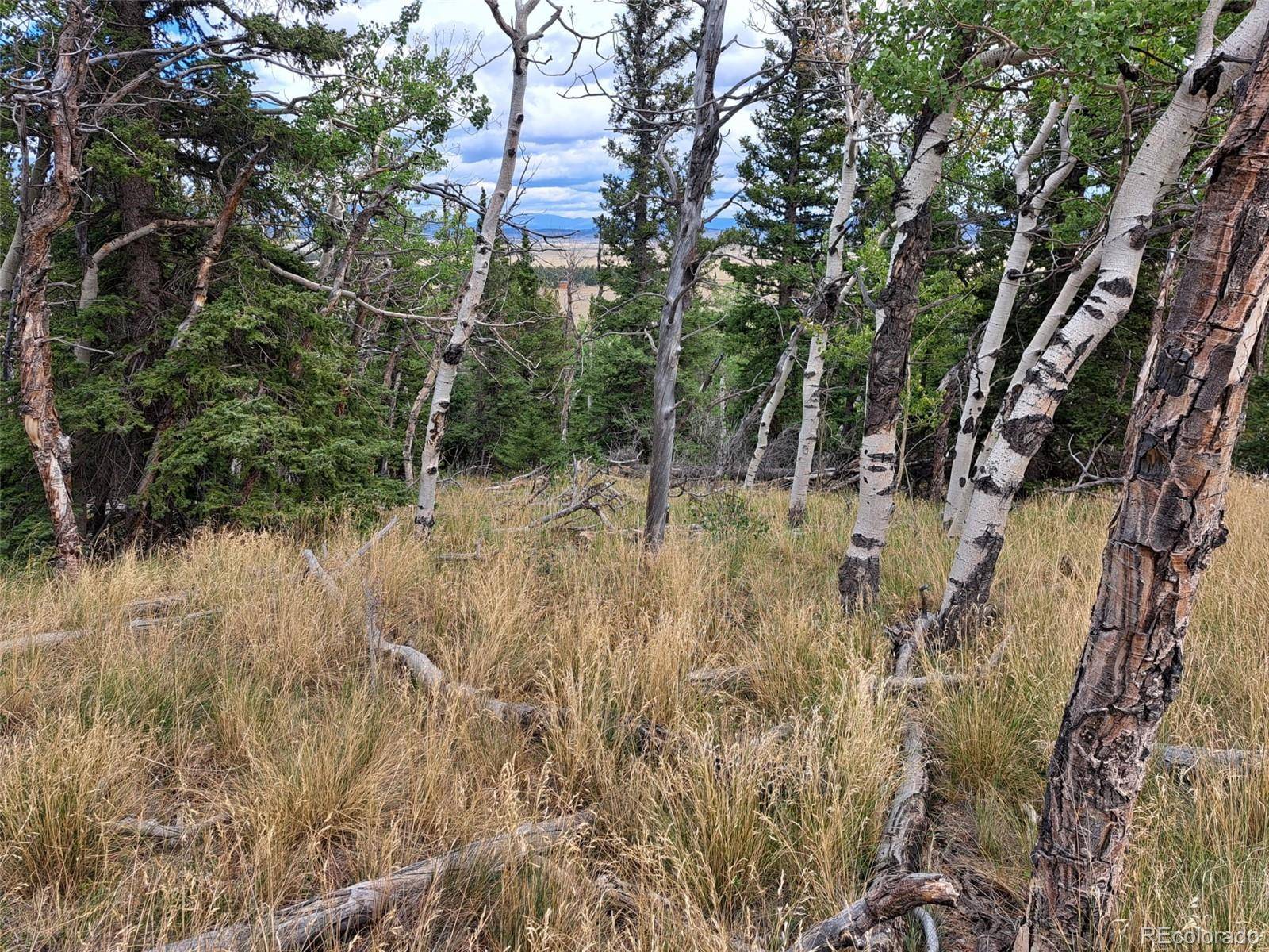 1844 High Creek RD, Fairplay, CO 80440