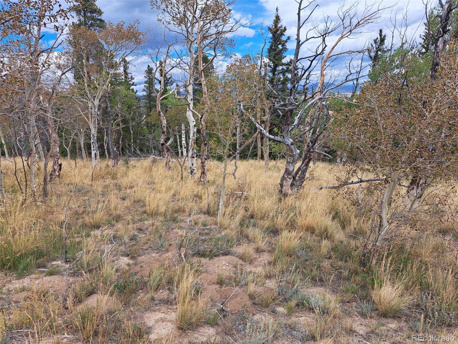 1844 High Creek RD, Fairplay, CO 80440