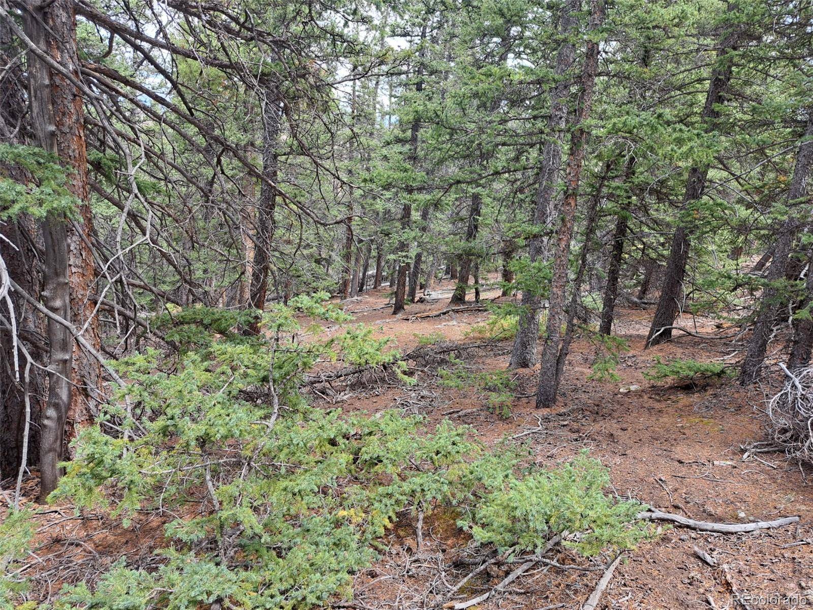 1844 High Creek RD, Fairplay, CO 80440