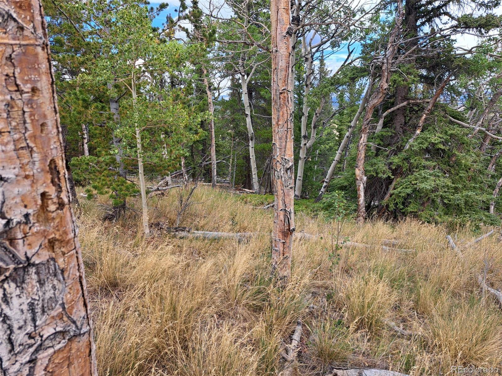 1844 High Creek RD, Fairplay, CO 80440
