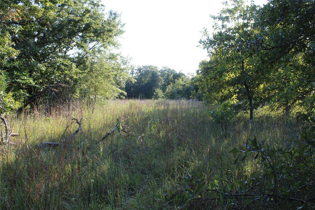 TBD CR 935, Teague, TX 75860