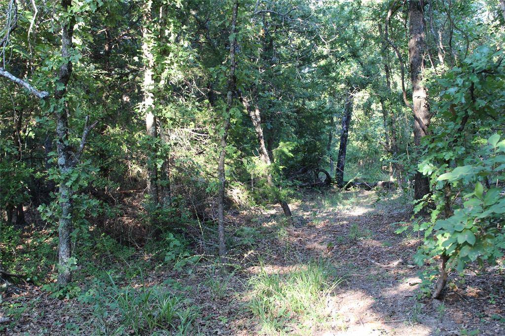 TBD CR 935, Teague, TX 75860