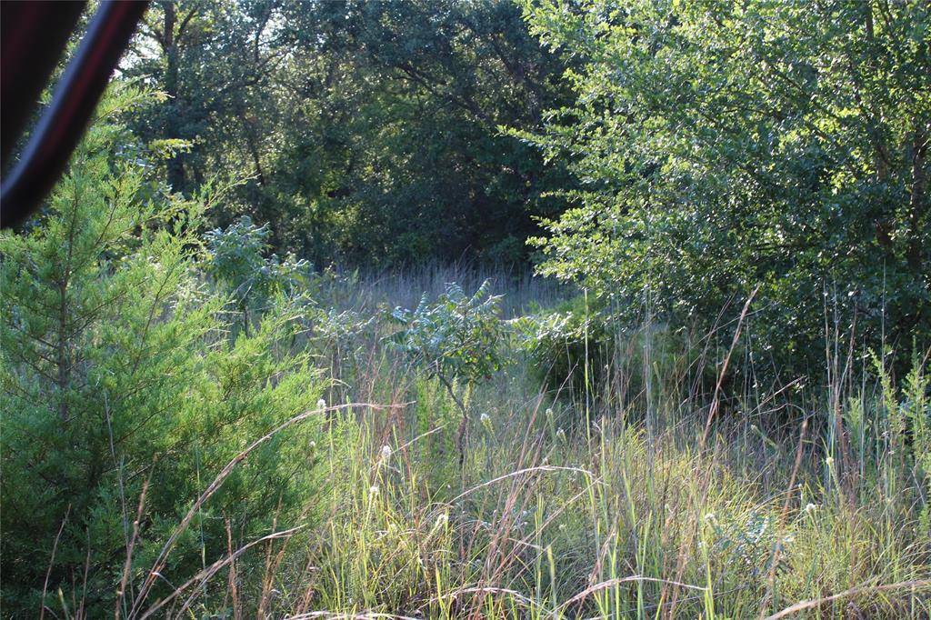 TBD CR 935, Teague, TX 75860